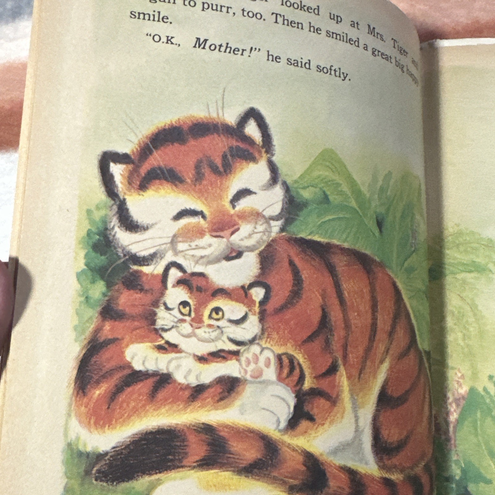 Timothy, Tiger By Marjorie Barrows Vintage Children’s Storybook First Edition