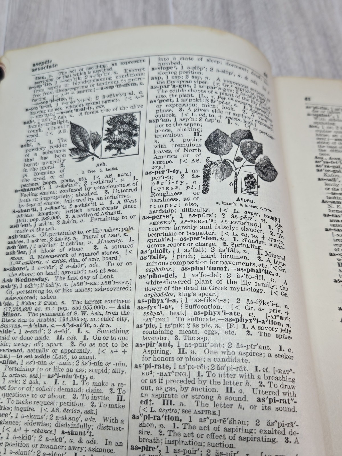 1925 Funk & Wagnalls Comprehensive Standard Dictionary Thumb Indexed Illustrated