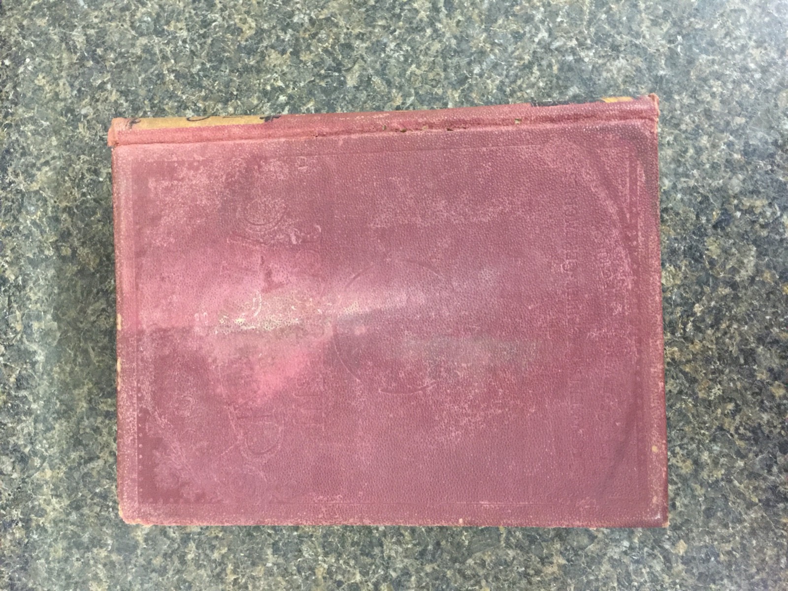CATHOLIC CHRISTIAN INSTRUCTOR BISHOP CHALLONER ILLUSTRATED 1889 HC