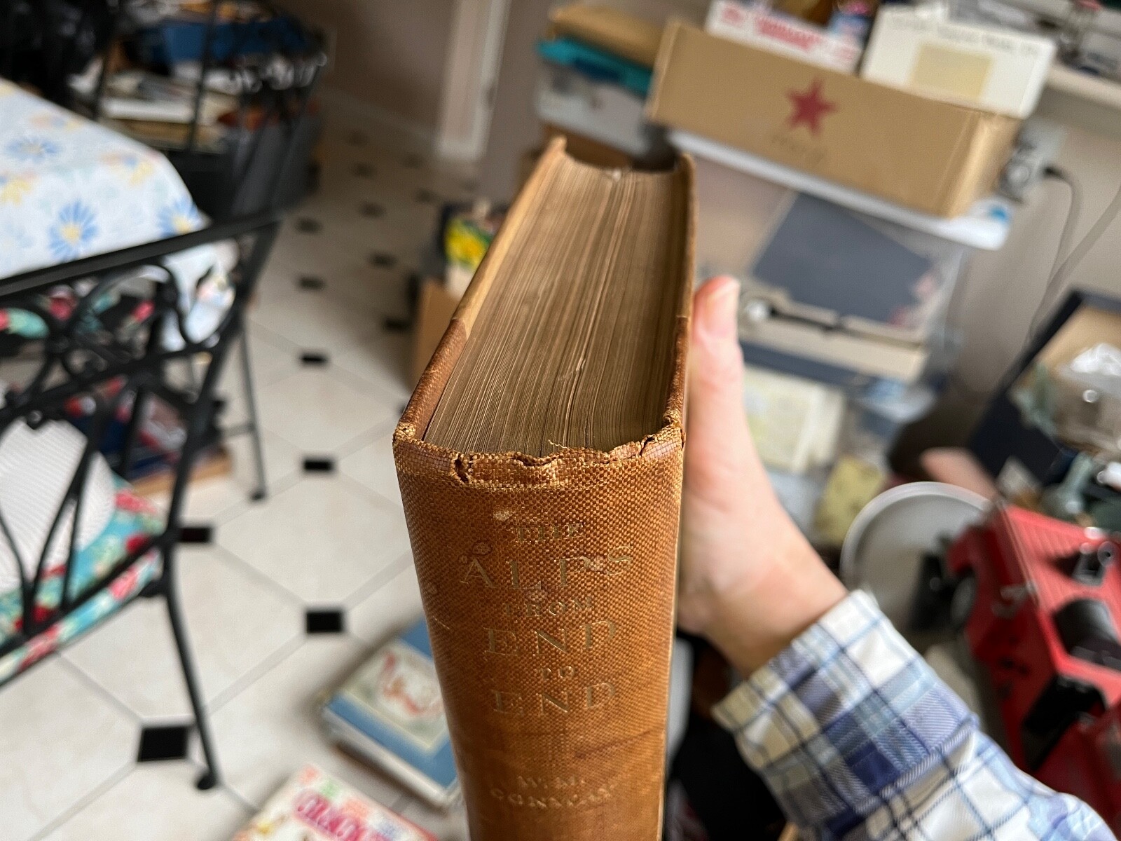1895 book The Alps From End to End William Martin Conway hiking mountain climb
