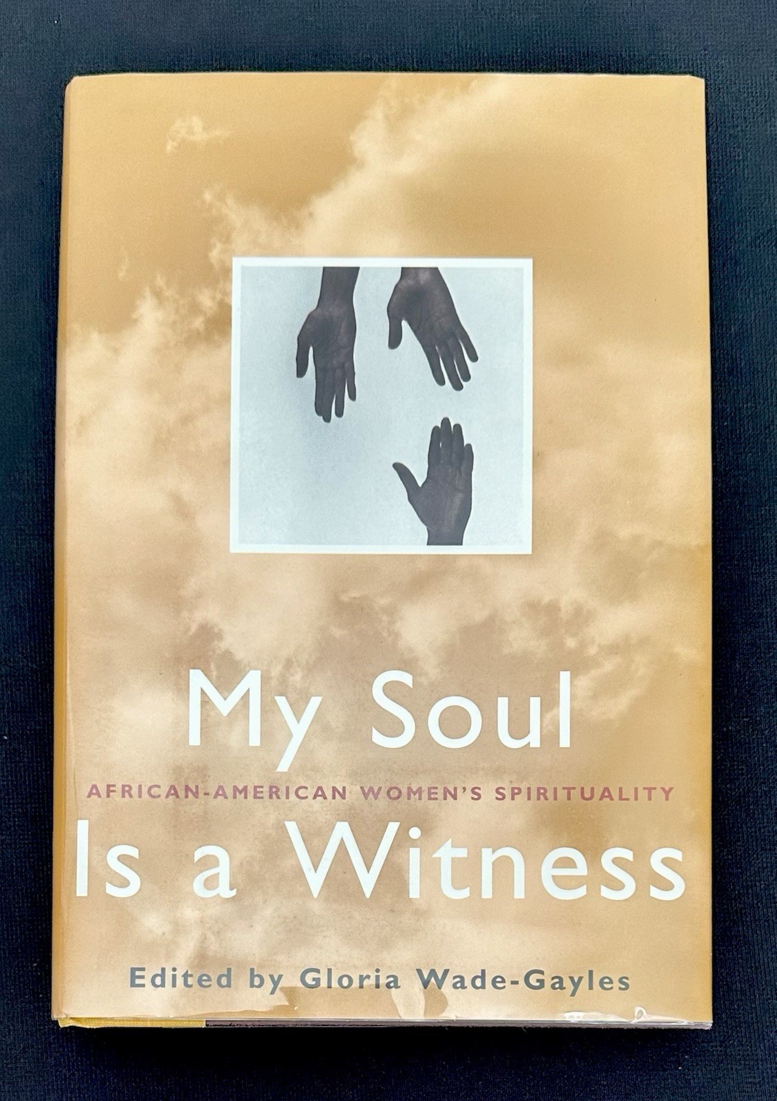 SIGNED My Soul Is a Witness 1995 1st Ed HC DJ Wade-Gayles NF Inscribed