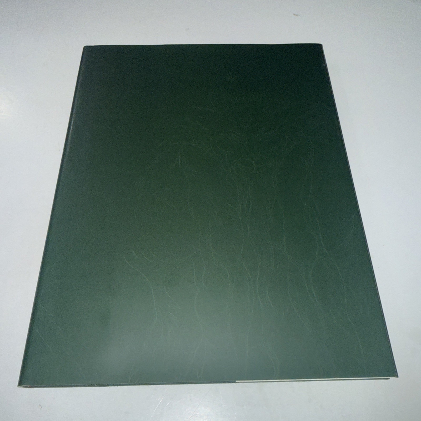 The Valley of Fear by Austin Osman Spare Fulgur Press, 2008 hardback /93