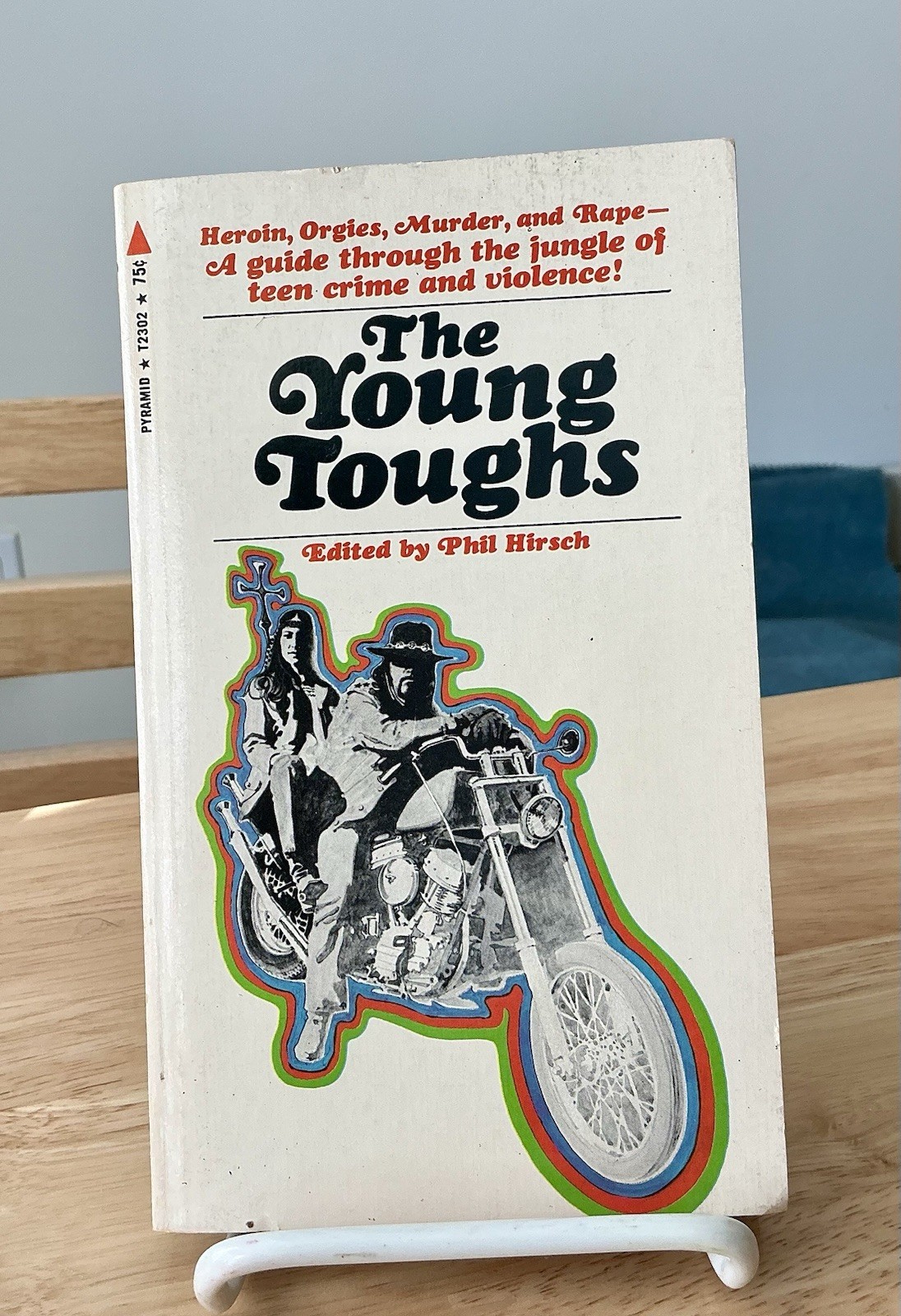 YOUNG TOUGHS, Vintage Sleaze PB, Pyramid Books, 1970 Drugs! Gangs! Orgies!