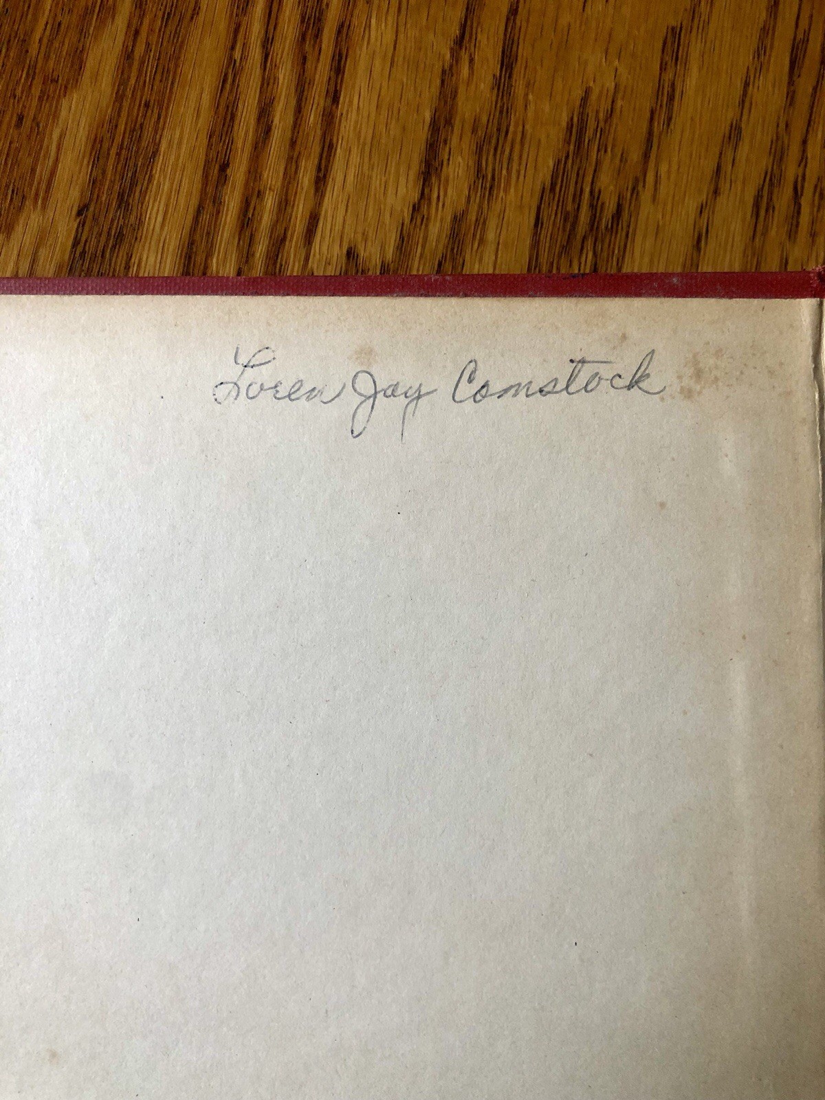 Superman by George Lowther, 1942 First Edition, Random House, Color Illustration