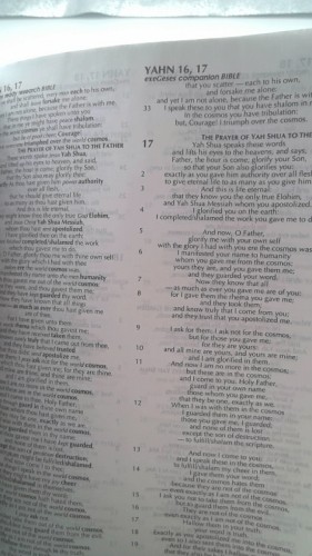 EXEGESES PARALLEL BIBLE (Bonded Leather) by Herb Jahn (Author)