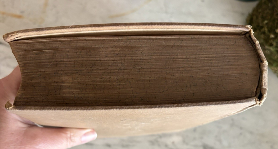 Antique Bilz Supplement-Band Interactive Anatomical Flap Book c1905–1912 Leipzig