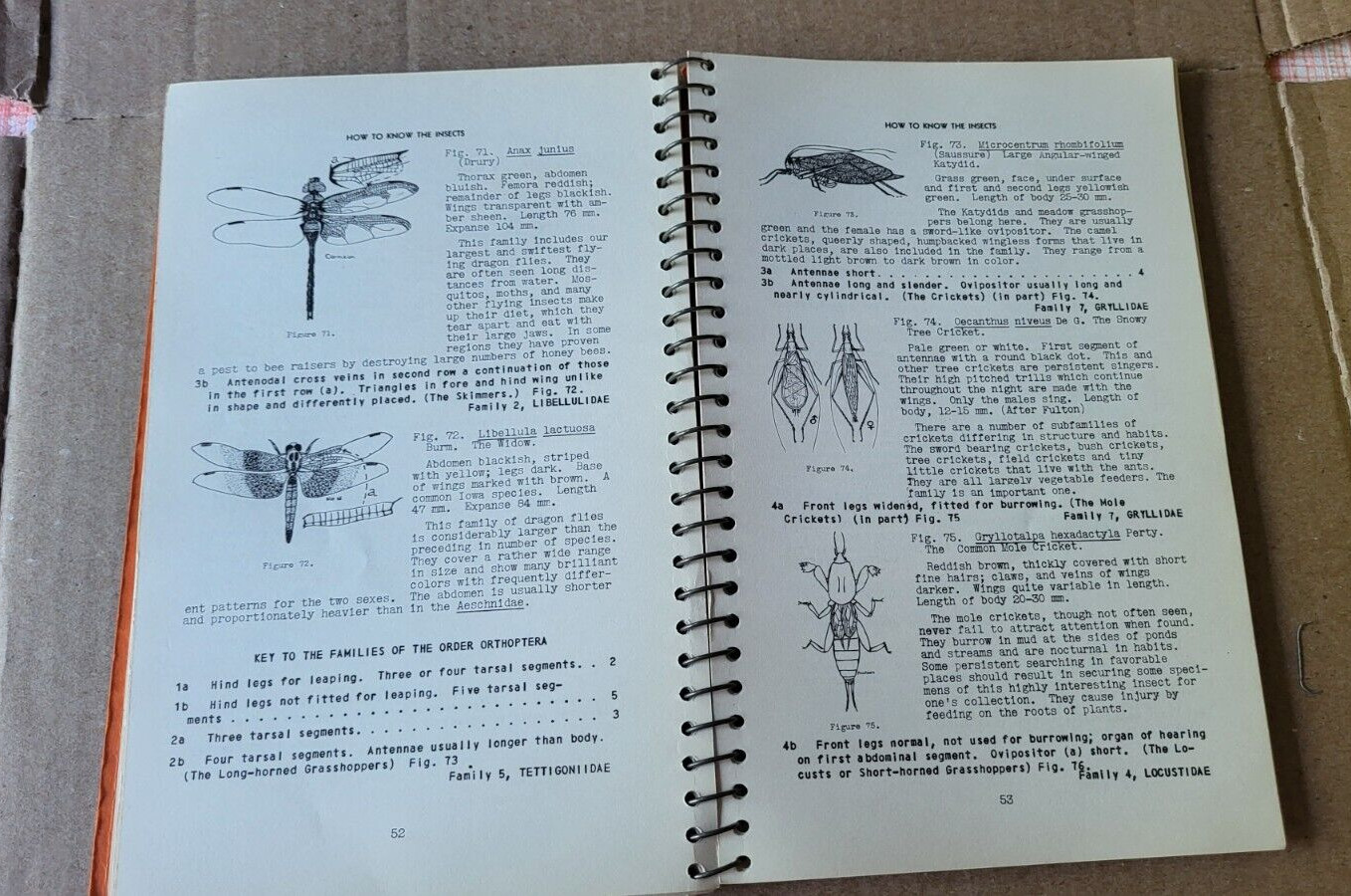 HOW TO KNOW THE INSECTS. H.E. JAQUES. 1939 Spiral Bound Softcover 5th Printing