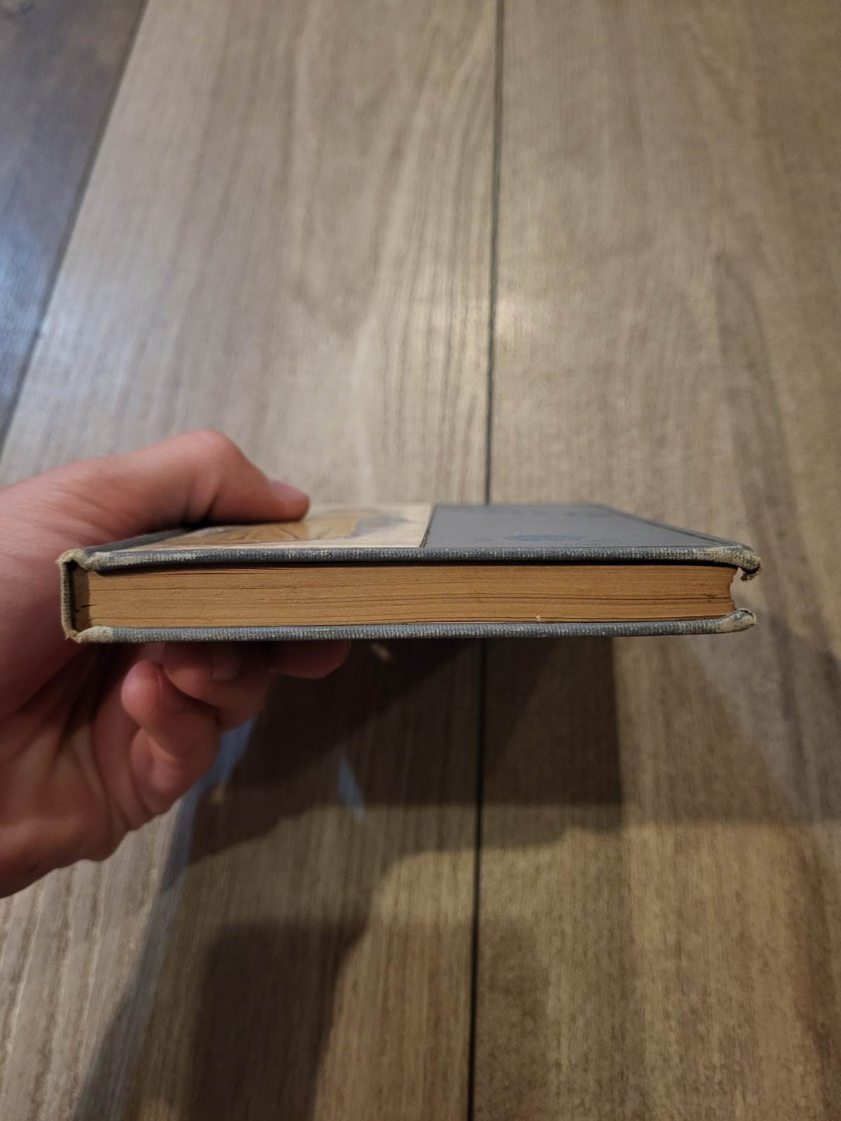 TOASTS Compiled by Margaret Waters 1909 Brewer, Barse And Co Chicago Hardcover