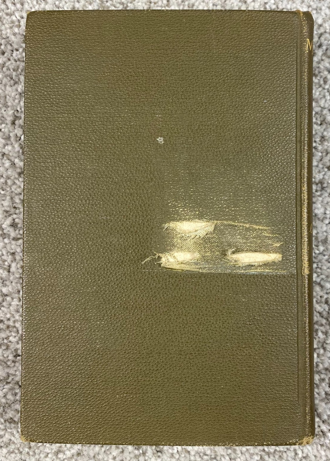 Antique Book American Commonwealths 1885 Thomas M Cooley Horace Scudder Michigan