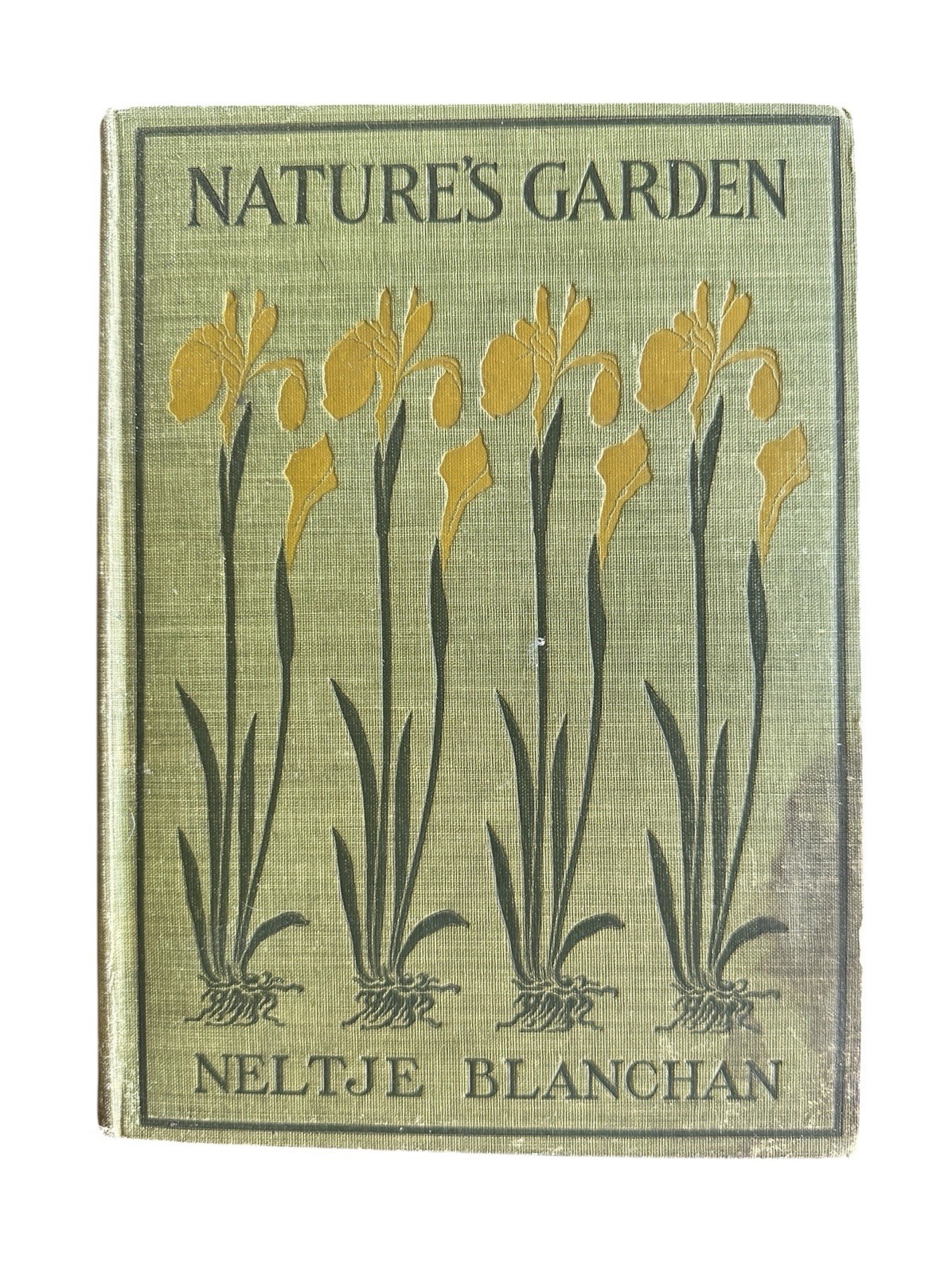 Nature’s Garden by Neltje Blanchan 1900 Grosset and Dunlap