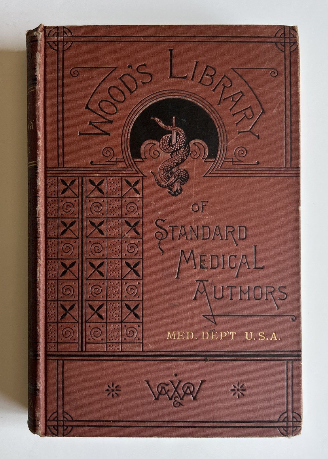 1885 Human Osteology Luther Holden 6th Ed Wood’s Library Medical Anatomy Book