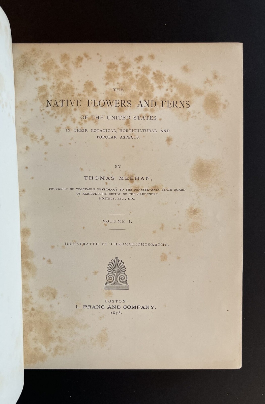 Thomas Meehan / Native Flowers and Ferns of the United States in their 1st 1879