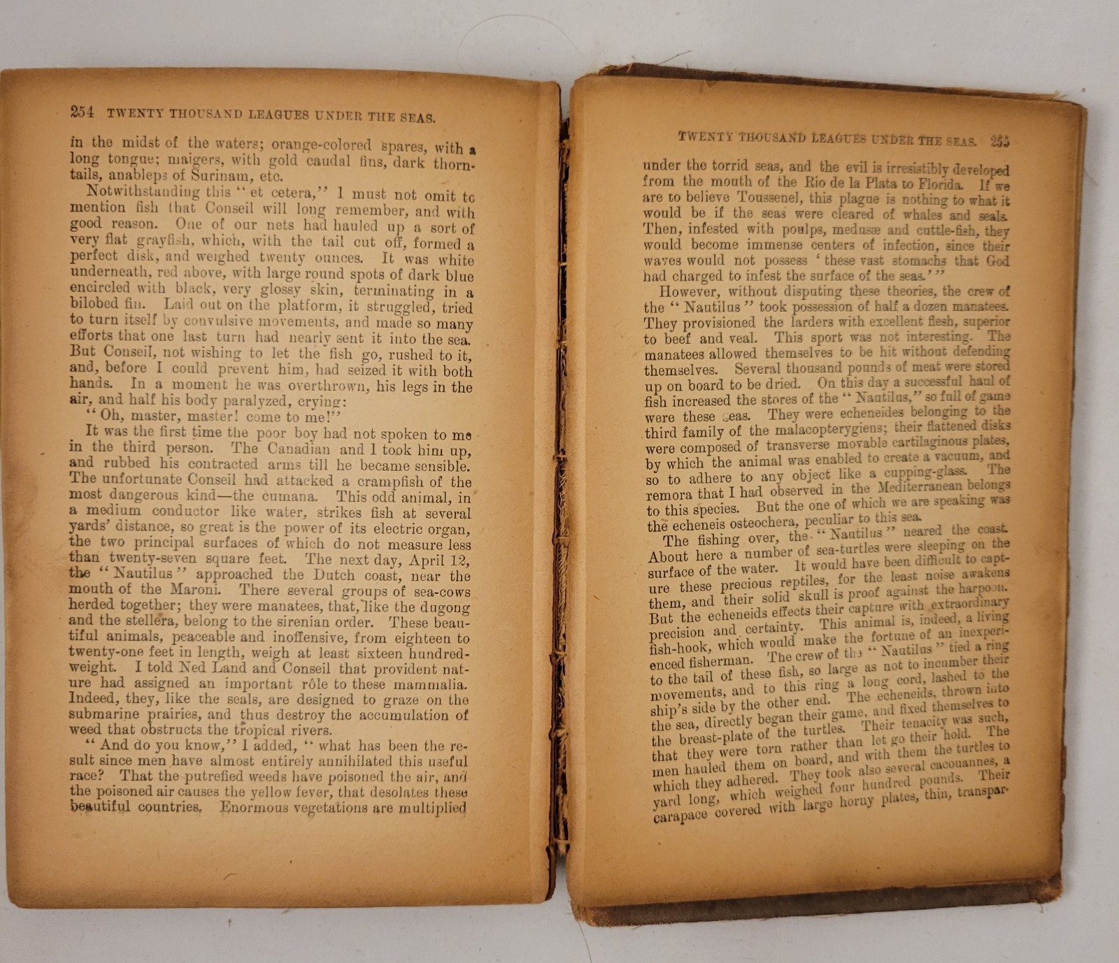 Twenty Thousand Leagues Under the Seas by Jules Verne Stratford Edition c. 1890s