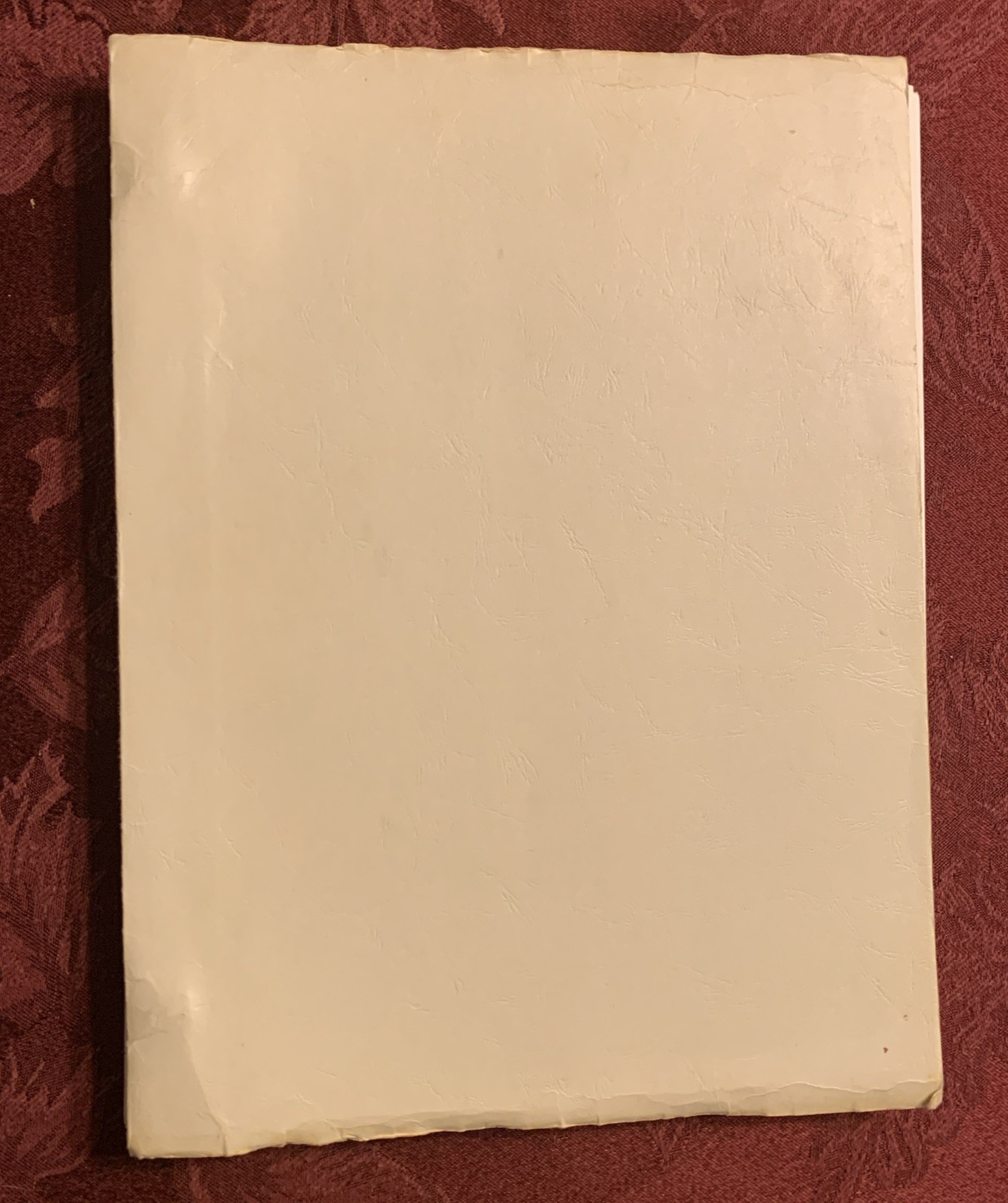 THE LAST BOY SCOUT 1980’s ORIGINAL SCREENPLAY by Lethal Weapon’s SHANE BLACK!