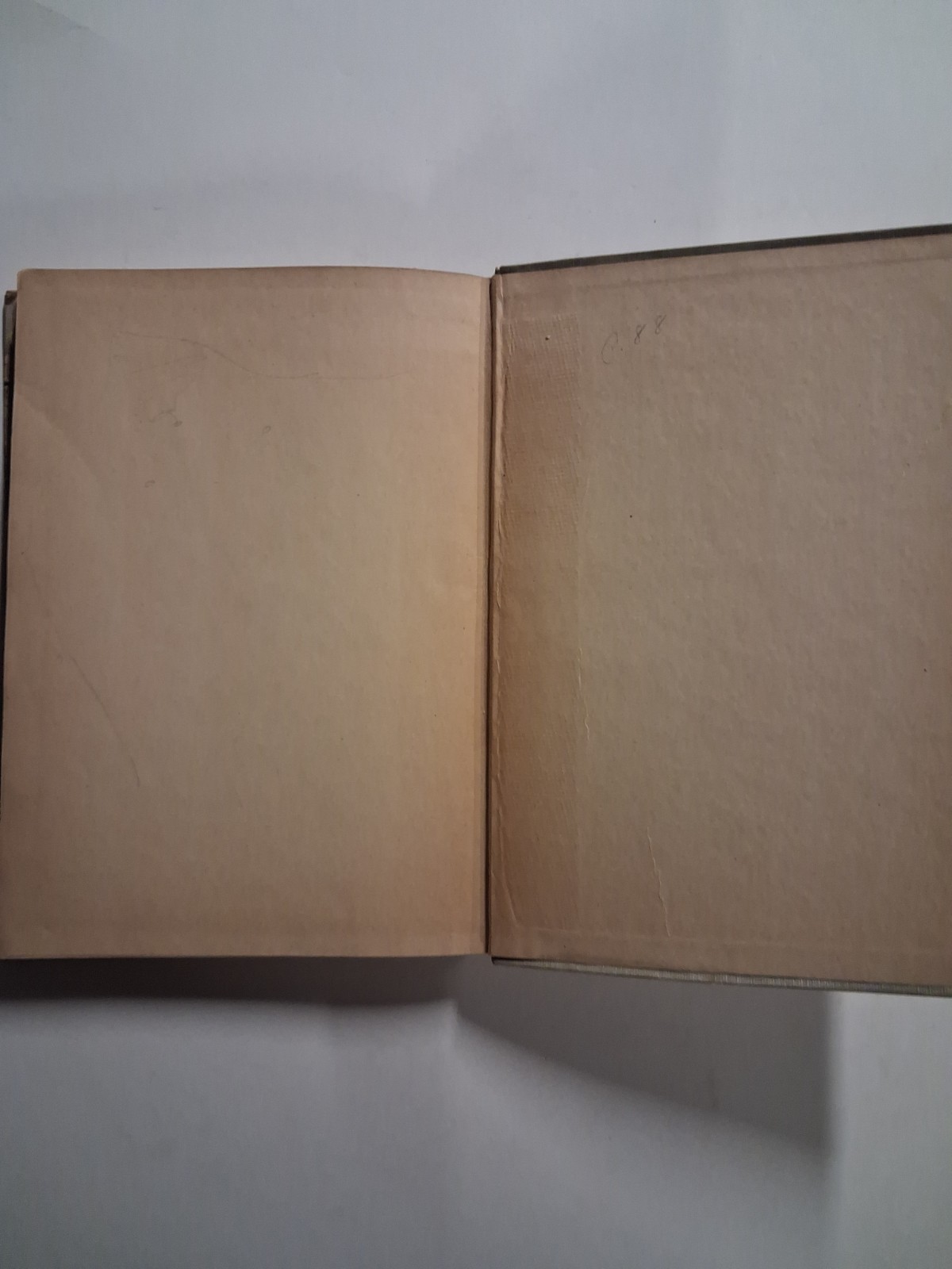 1923 NEW YORK WALK BOOK Raymond Torrey HIKING NJ NY MAPS