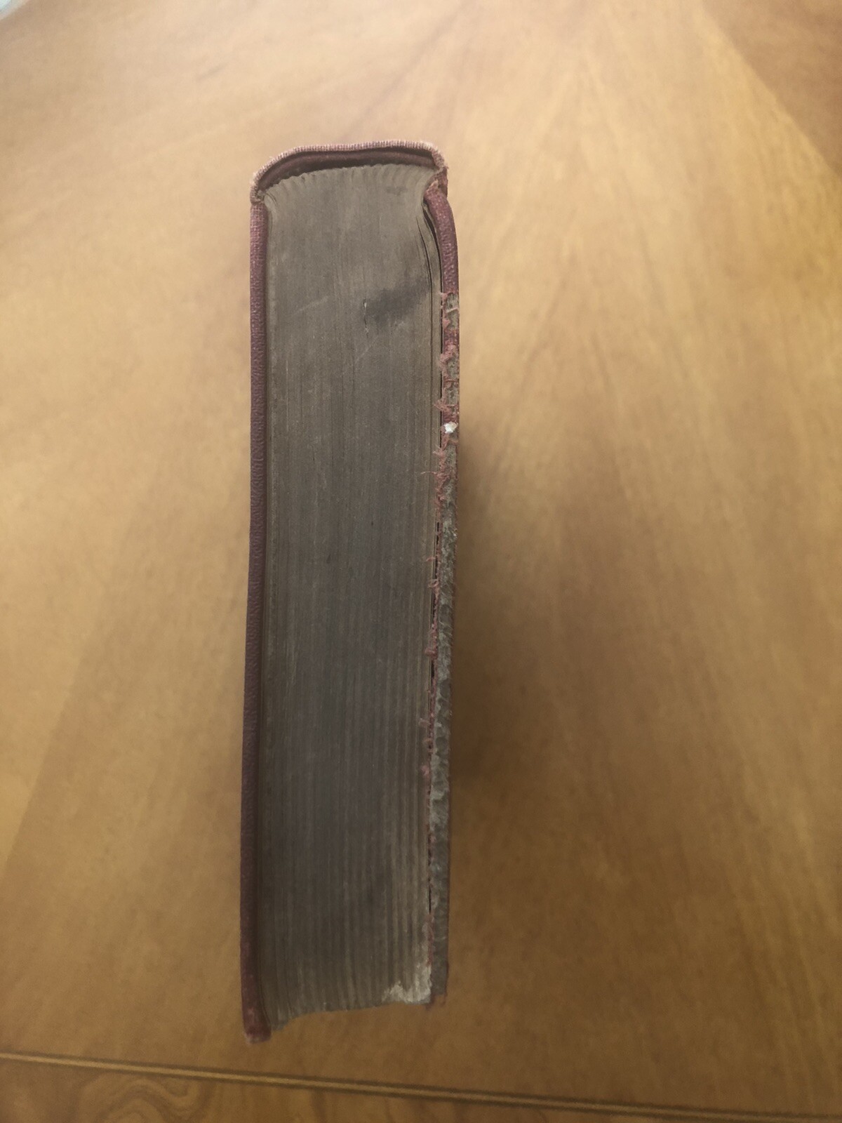 A Handbook Of Stunts 1934 By Martin Rodgers M.A., Intro By Jesse Williams M.D.