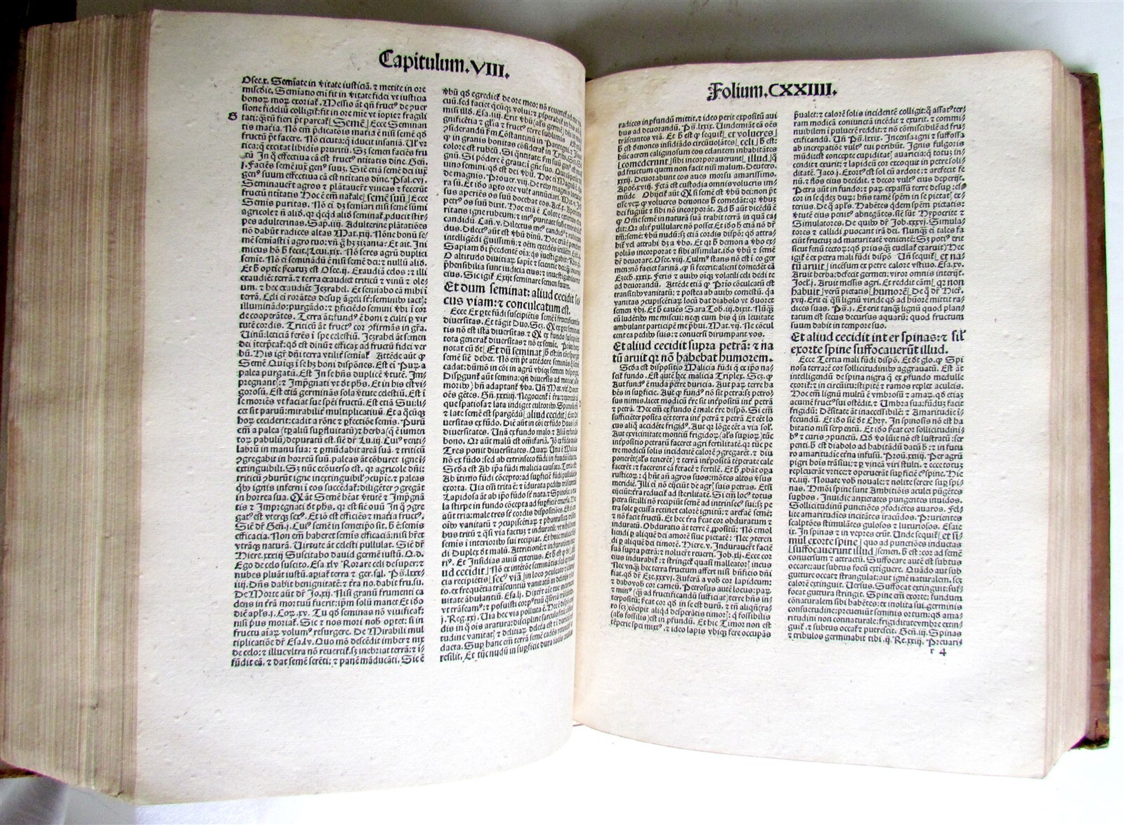 1504 POST INCUNABULA Postille Super Evangeliare by Albertus Magnus antique FOLIO