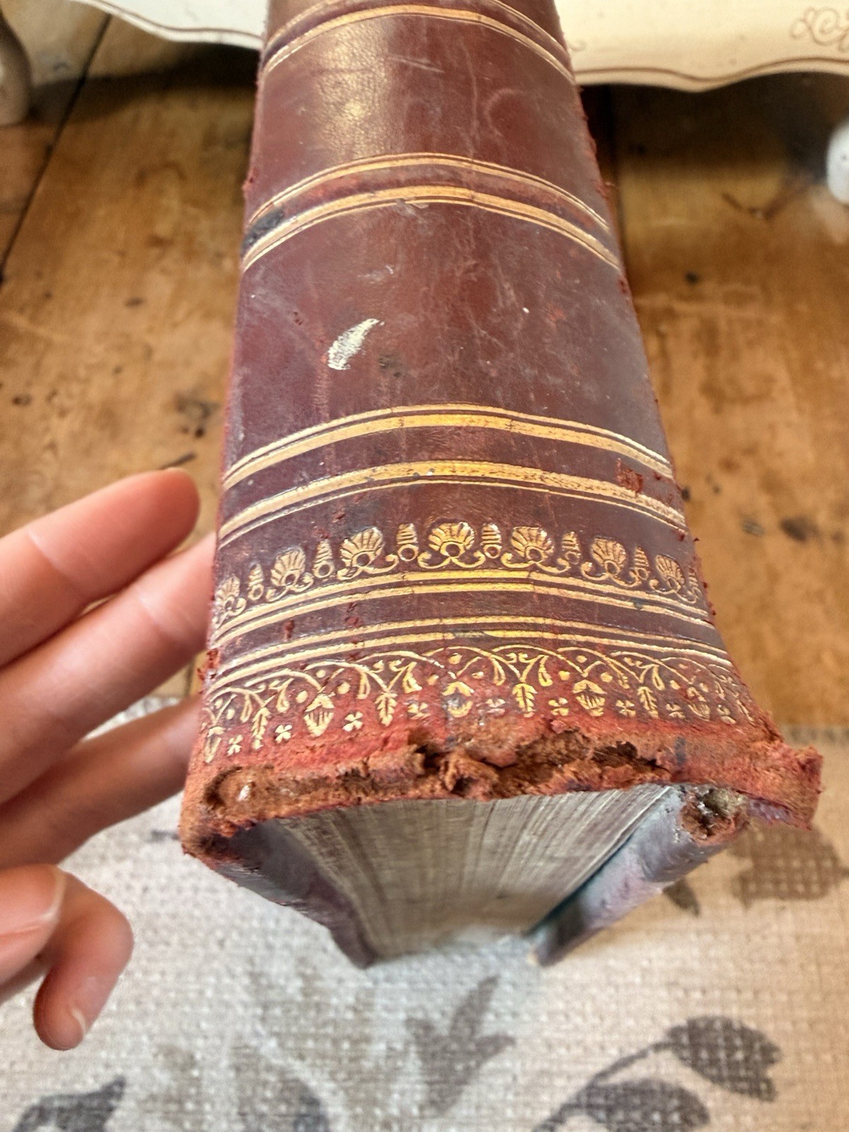 Antique Equestrian Reference Book Modern Practical Farriery Victorian Leather