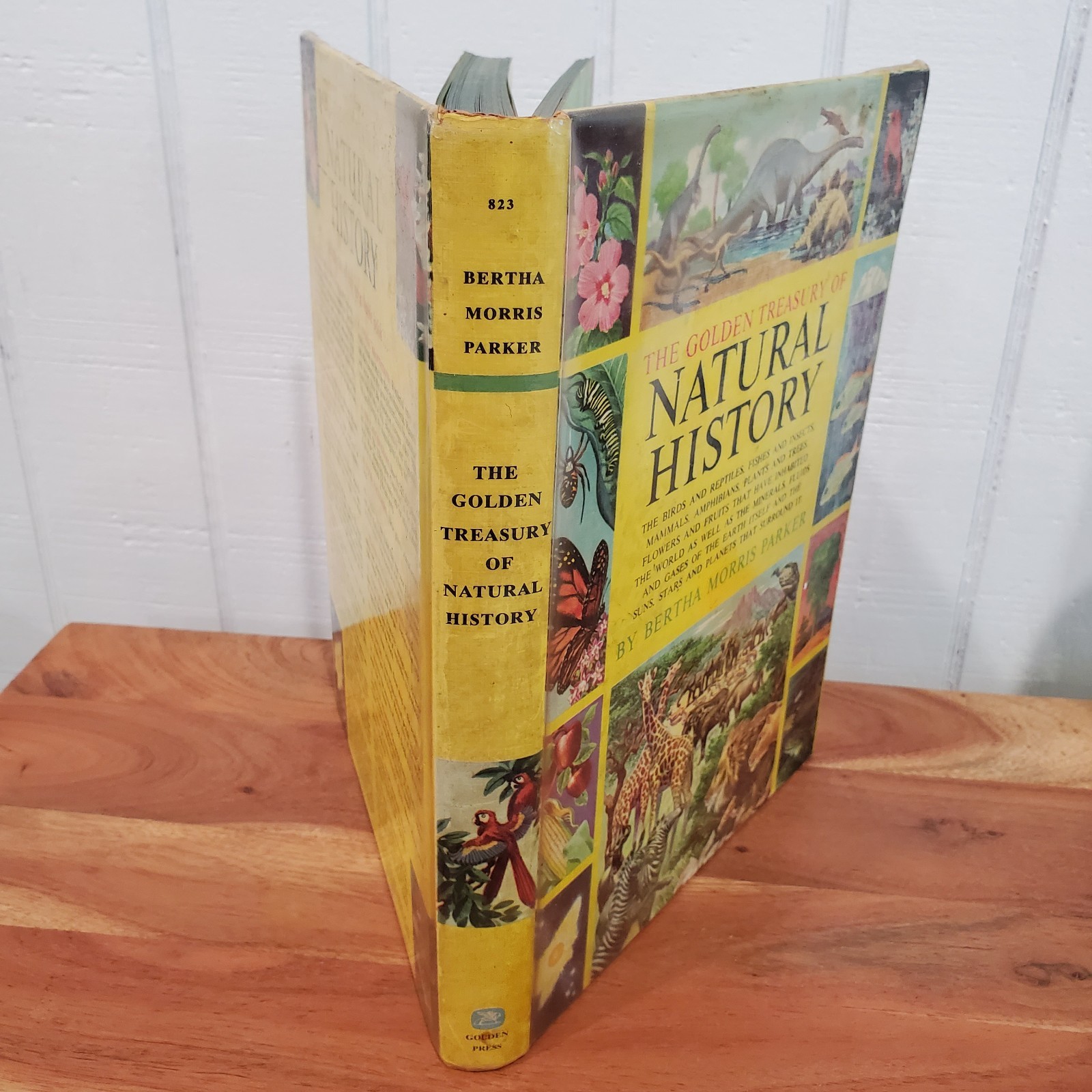 The Golden Treasury of Natural History by Bertha Morris Parker 1952 Vintage HC