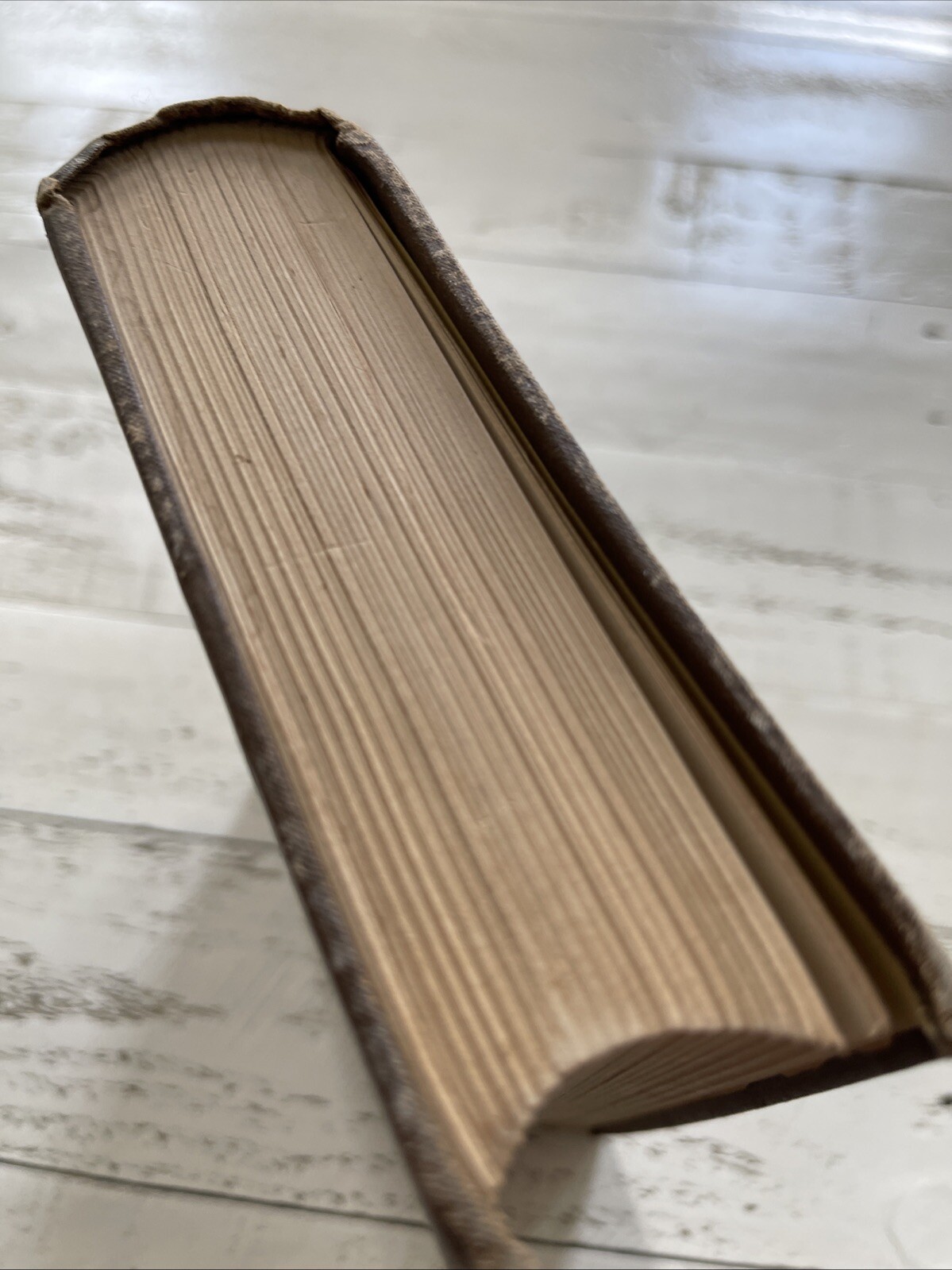 A Brief Biographical Dictionary 1881 Hole & Wheeler Arundel Print