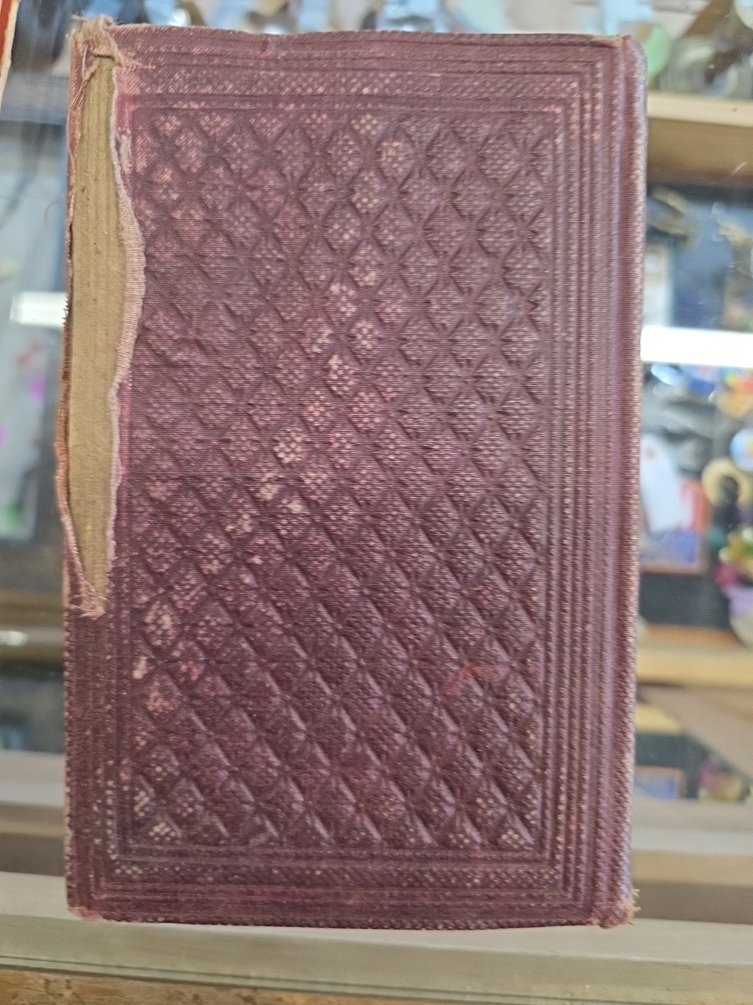 LIFE OF AUDUBON NATURALIST OF NEW WORLD 1861 ed Mrs Horace St. John VERY GOOD