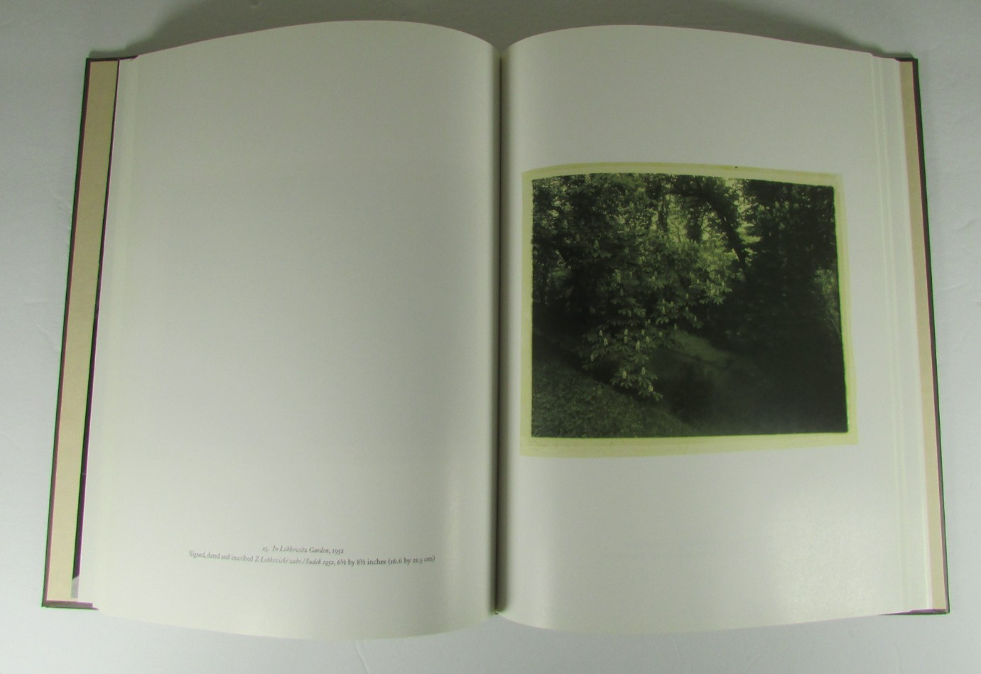 JOSEF SUDEK 1896-1976: SIXTY PIGMENT PRINTS FROM THE ARTIST’S ESTATE
