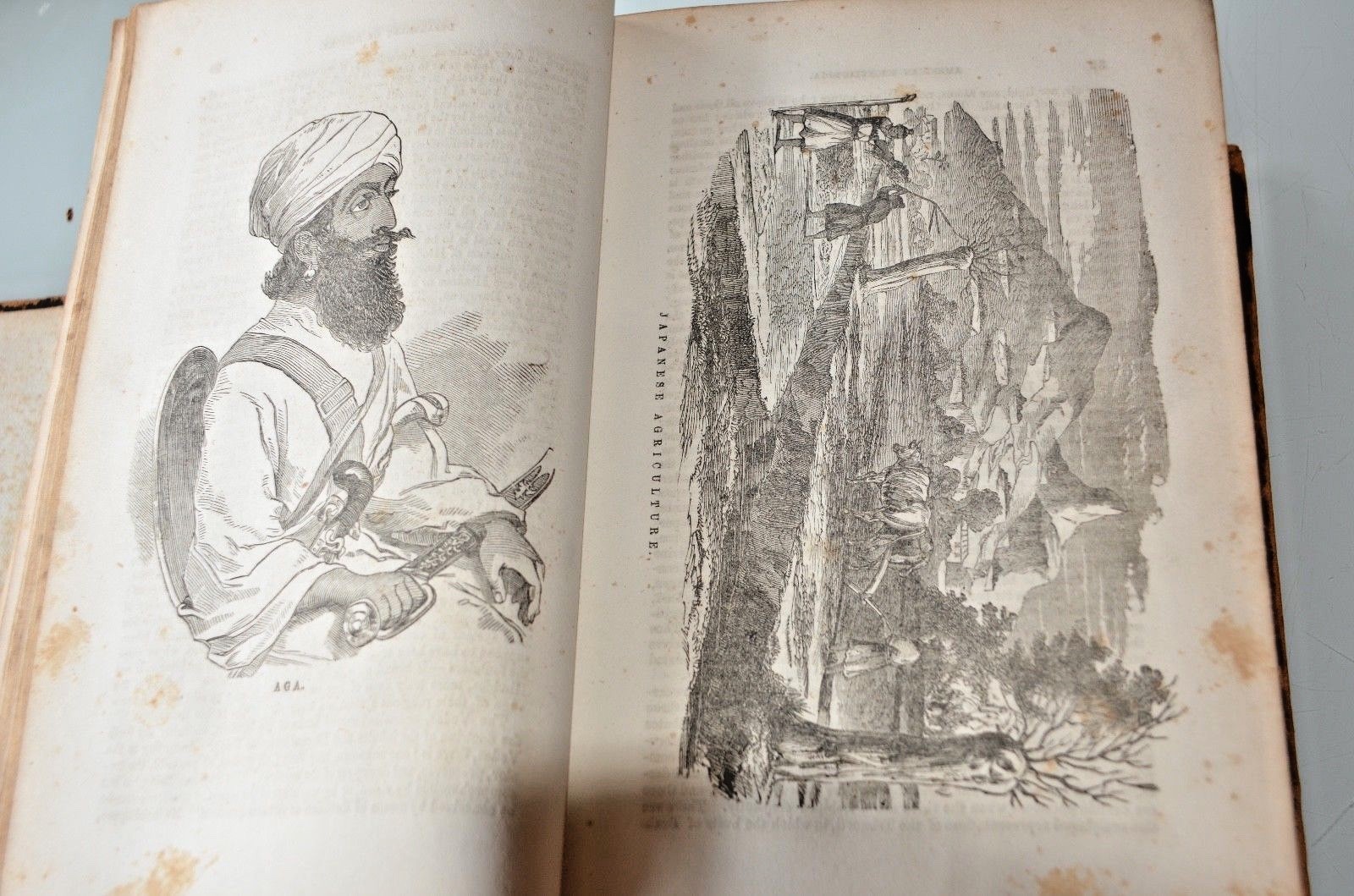 THE AMERICAN ENCYCLOPEDIA OF HISTORY, BIOGRAPHY AND TRAVEL,CONFESSION … 1856