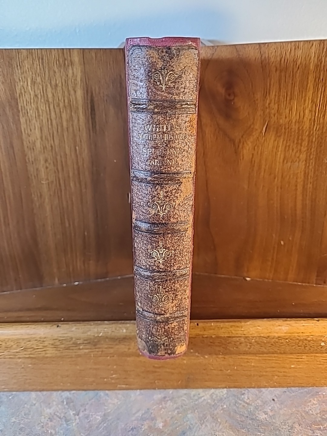 The Natural History Of Selborne, Rev. White, Sir John Lubbocks Hundred Books
