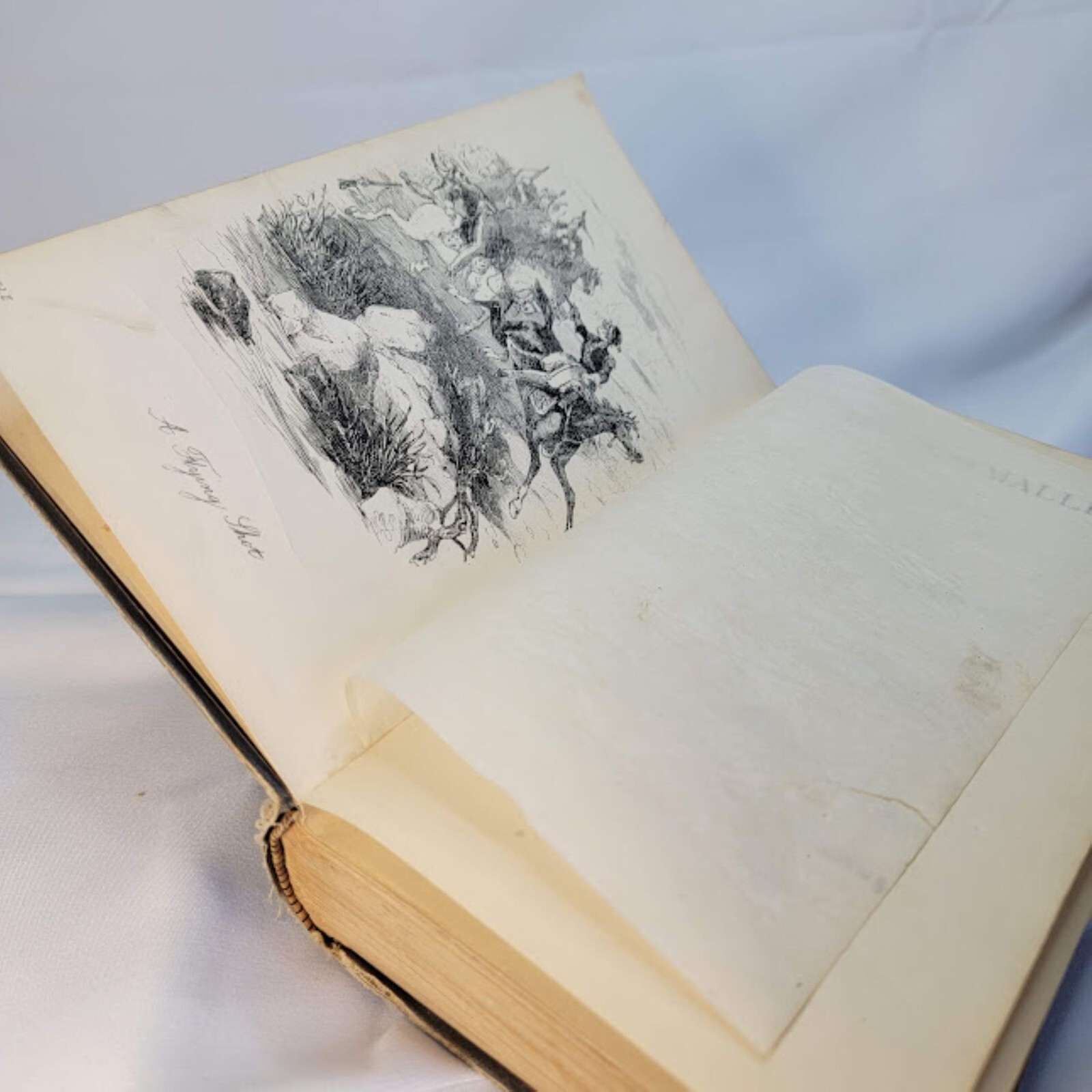 Charles O’Malley: The Irish Dragoon Lever 1882 Napoleonic Wars Peninsular War