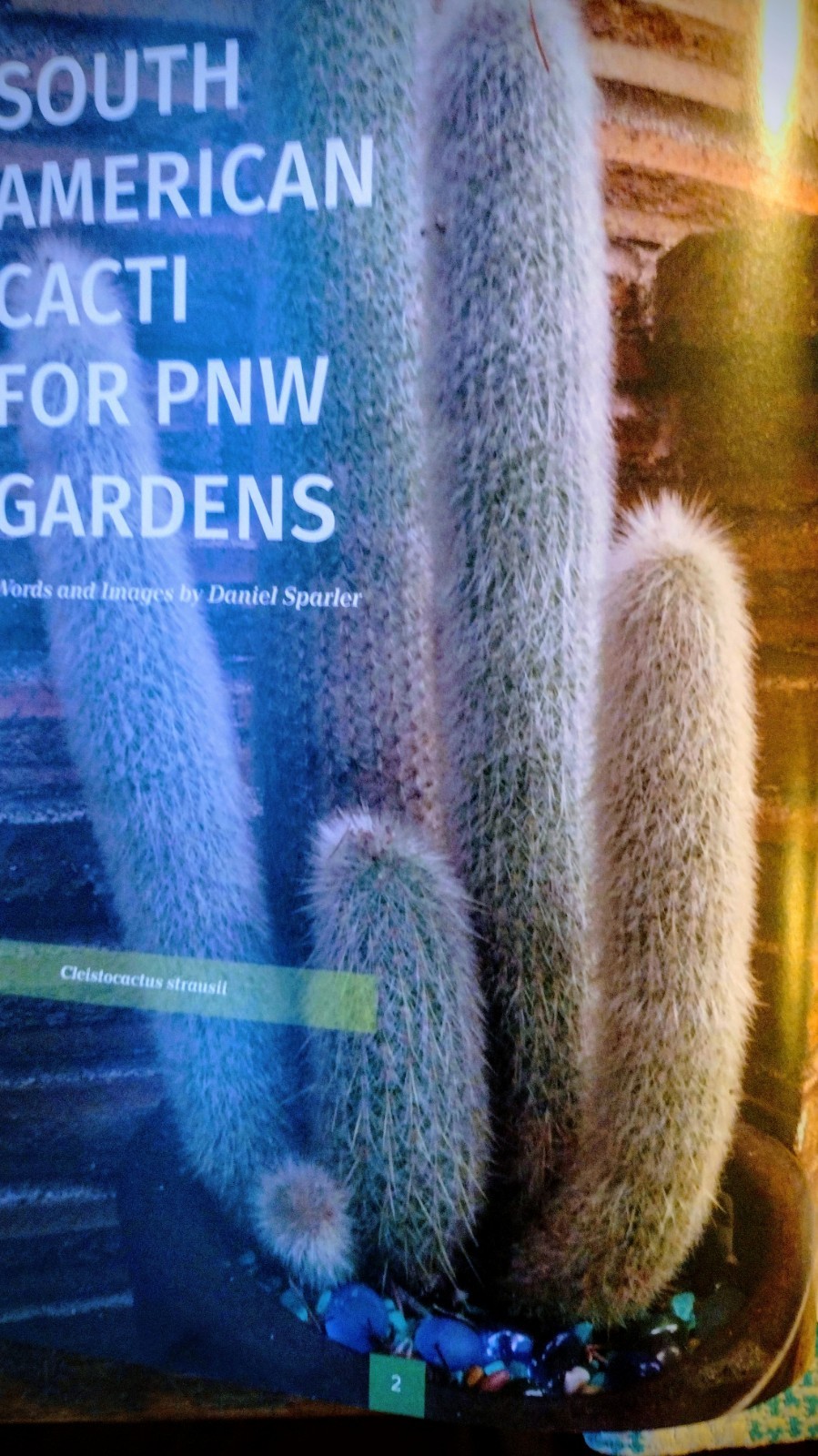 GARDENING NOTES ISSUE SUMMER 2022 NORTHWEST HORTICULTURAL SOCIETY