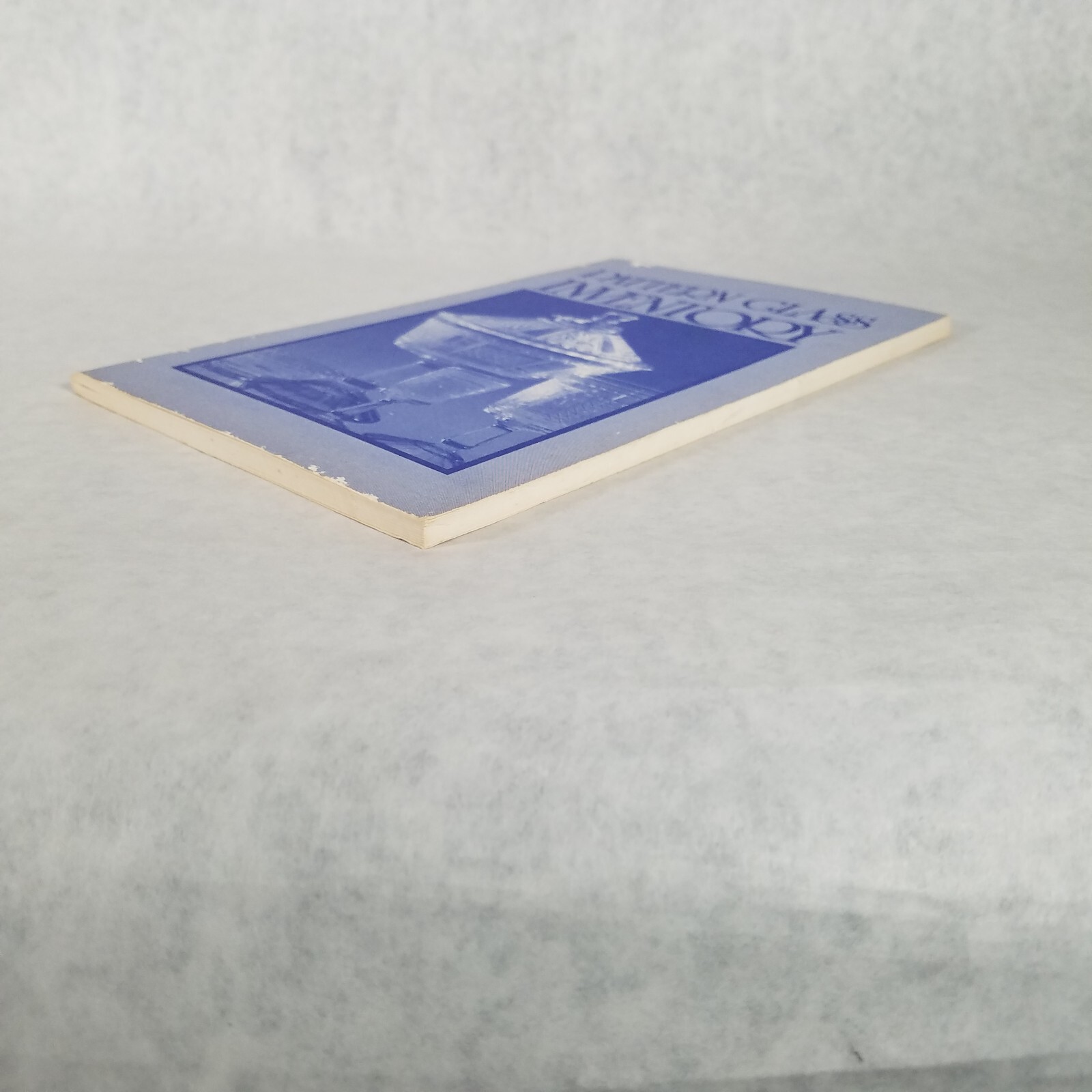 Pattern Glass Inventory Ledger – Vintage Stapled Paperback – Clean No Marks!