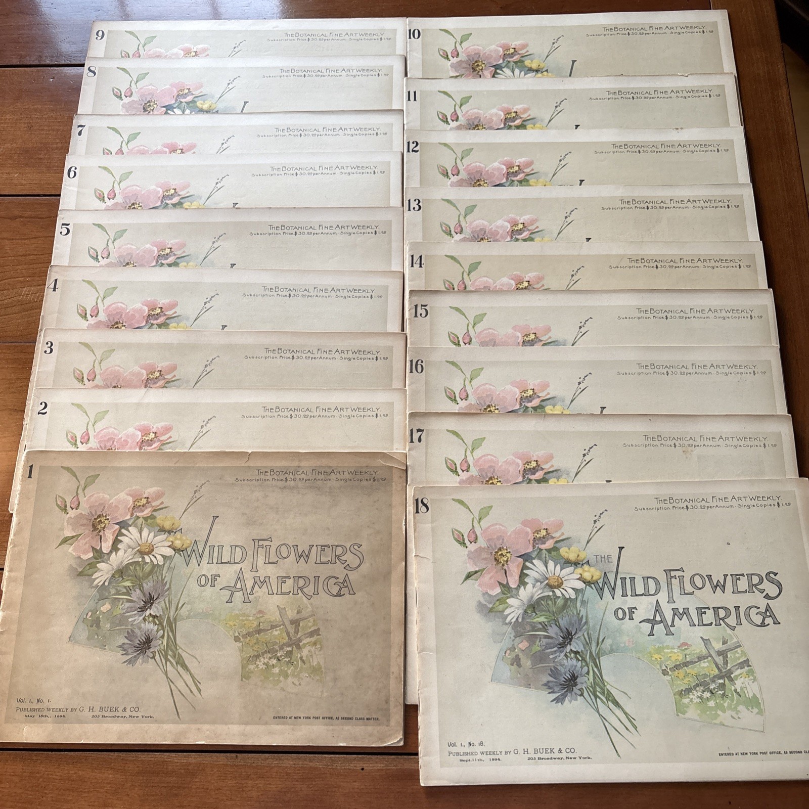 1894 The Wild Flowers of America, Volumes 1-18. Maud Humphrey color art