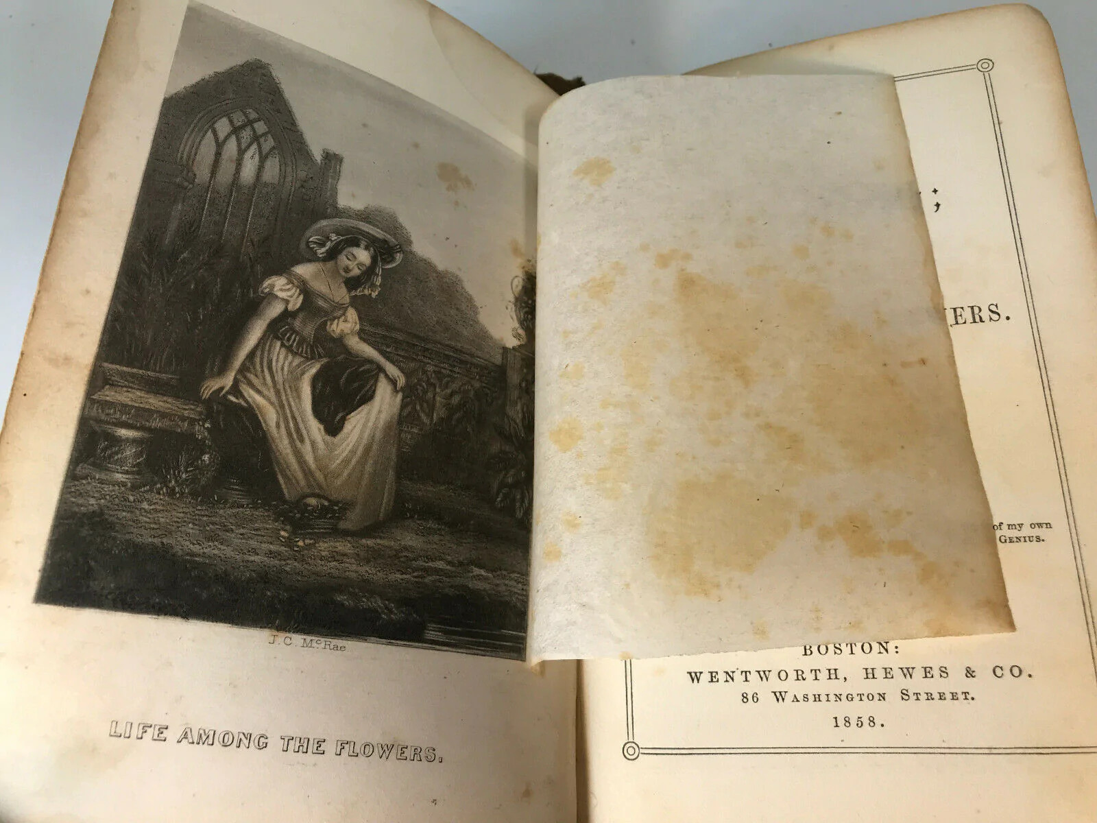 The Rural Wreath of Life Among The Flowers edited by Laura Greenwood 1858