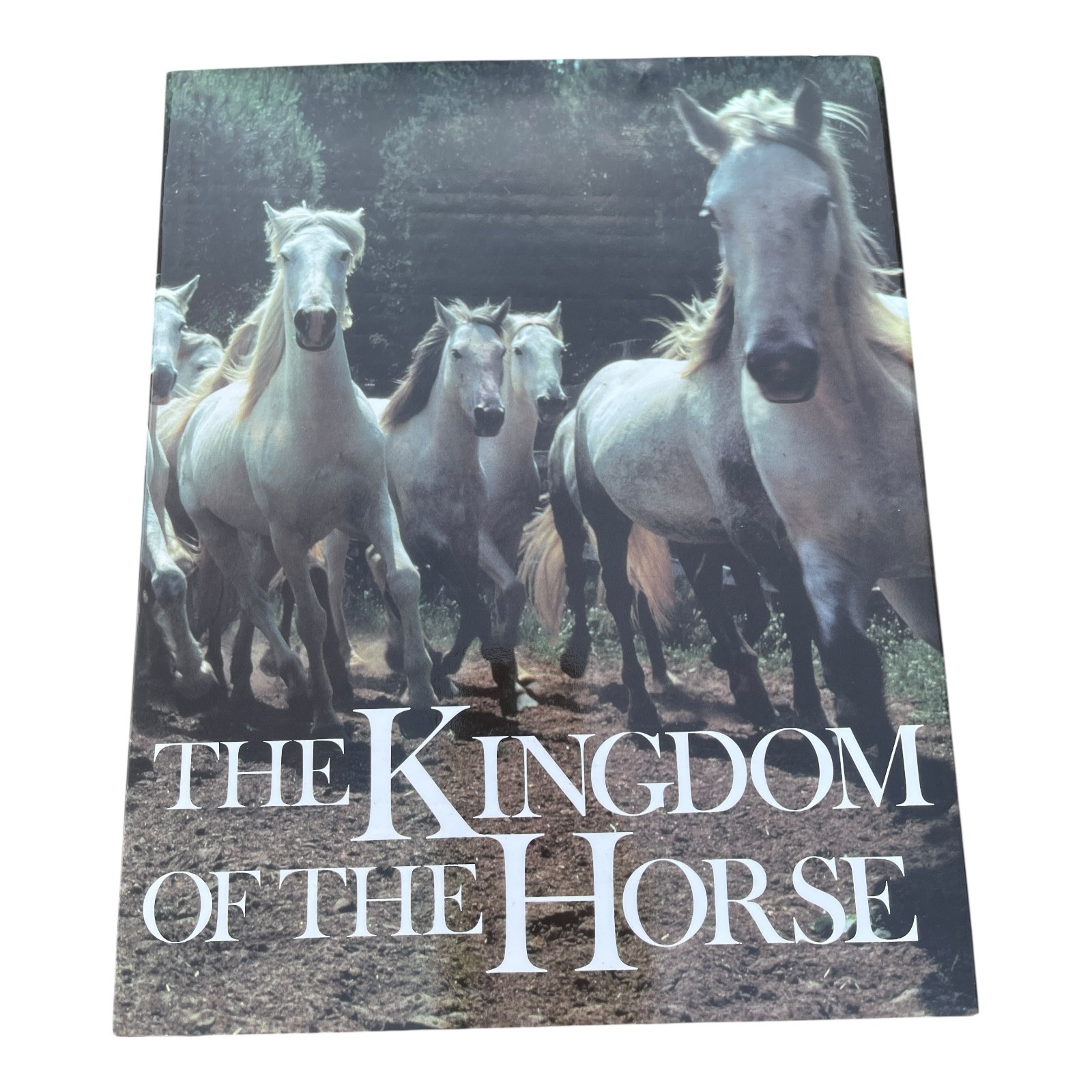 The Kingdom of the Horse – David & Charles 1985 – Equine Photography Book