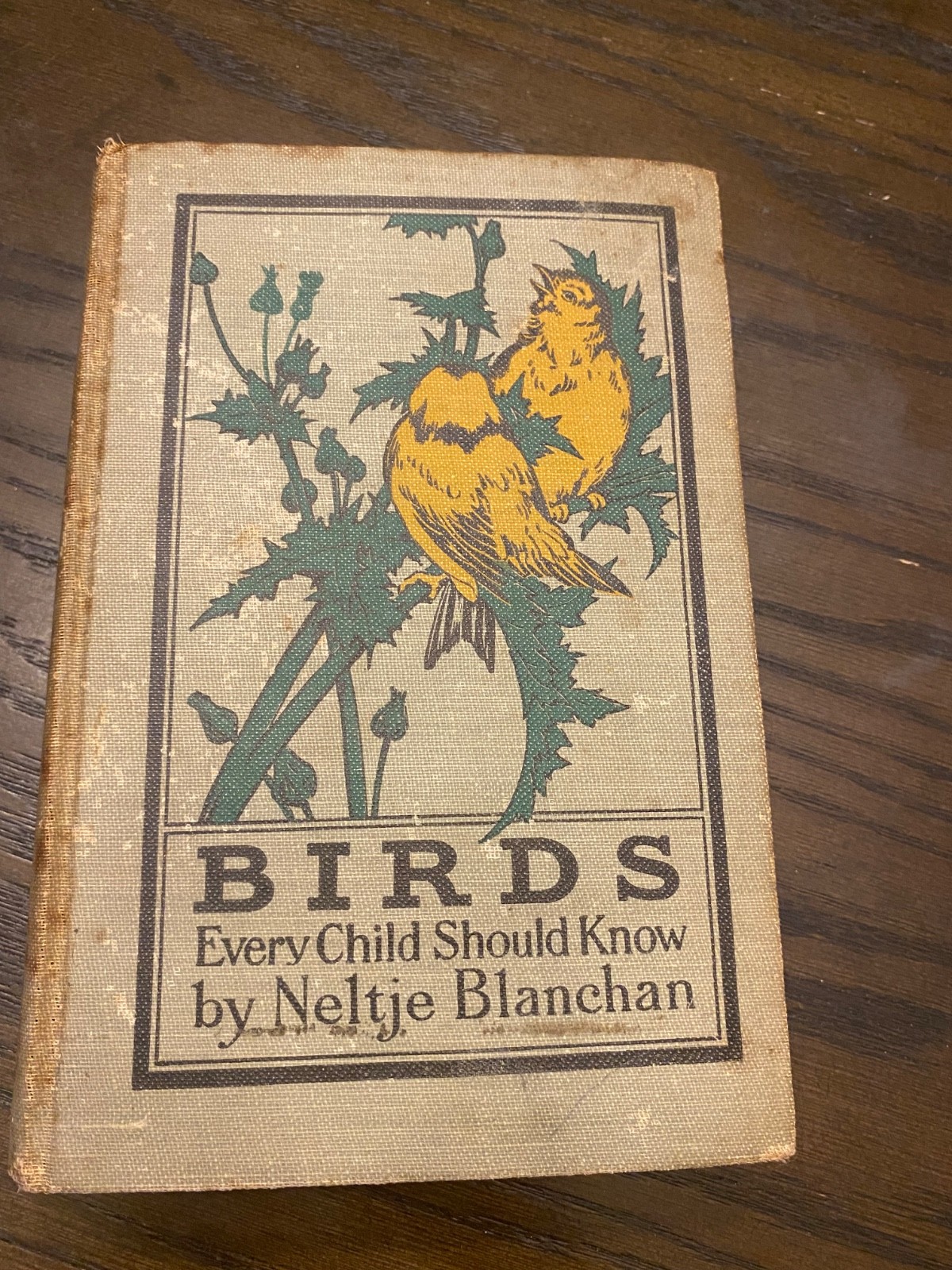 Birds Every Child Should Know – 1907 Hardcover
