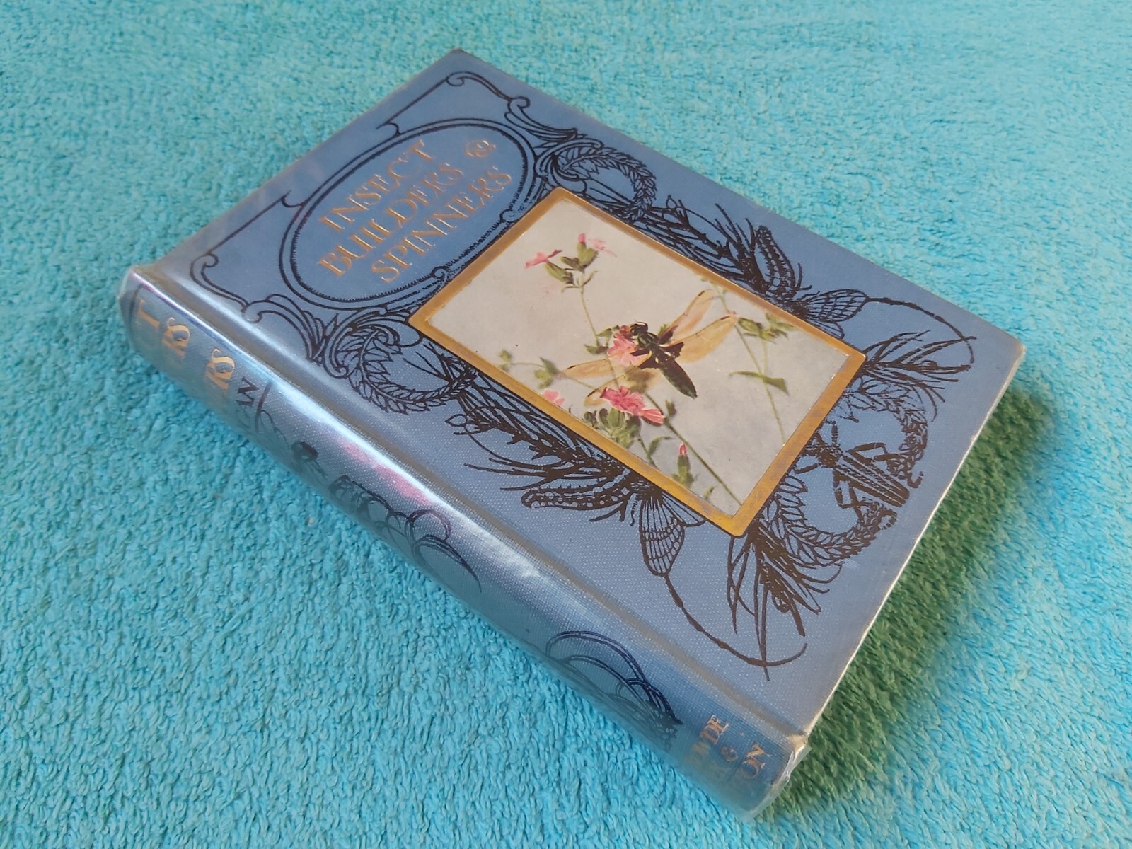 Insect Builders and Spinners by Martin Duncan, Henry Frowde H&S, HB, 1930s