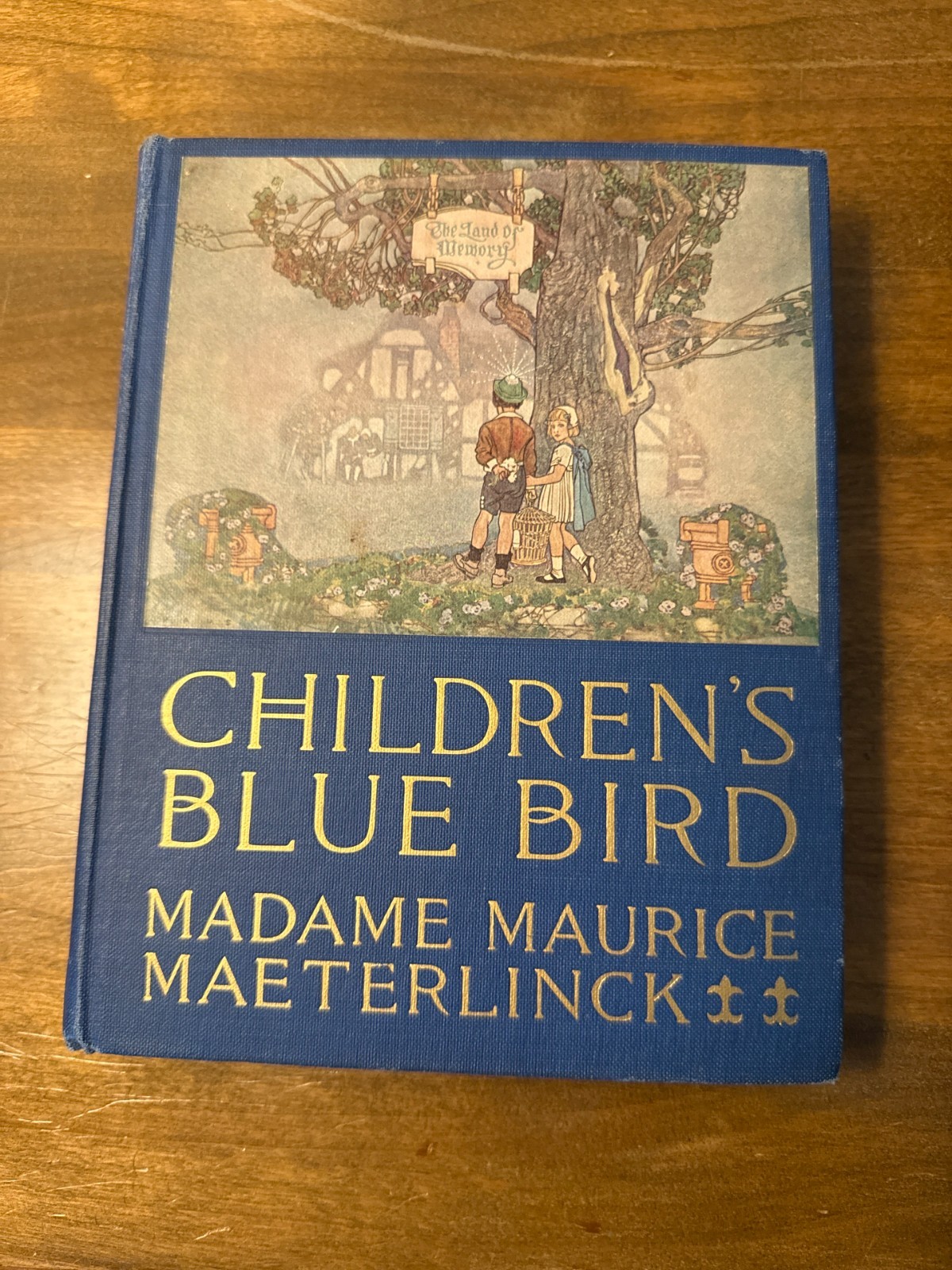 The Children’s Blue Bird Georgette Leblanc 1920 Dodd Mead Herbert Paus HC