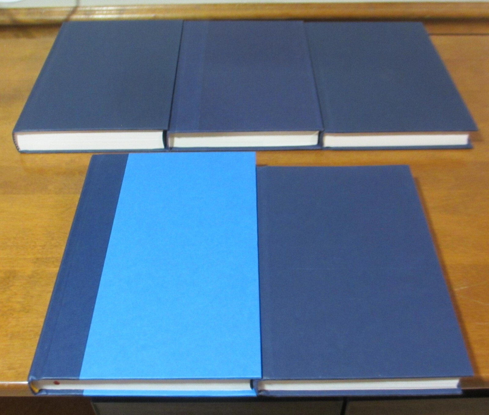 DECOR Book lot 5 Library Shelf Display Office Staging Navy Blue-White Text *NEW*