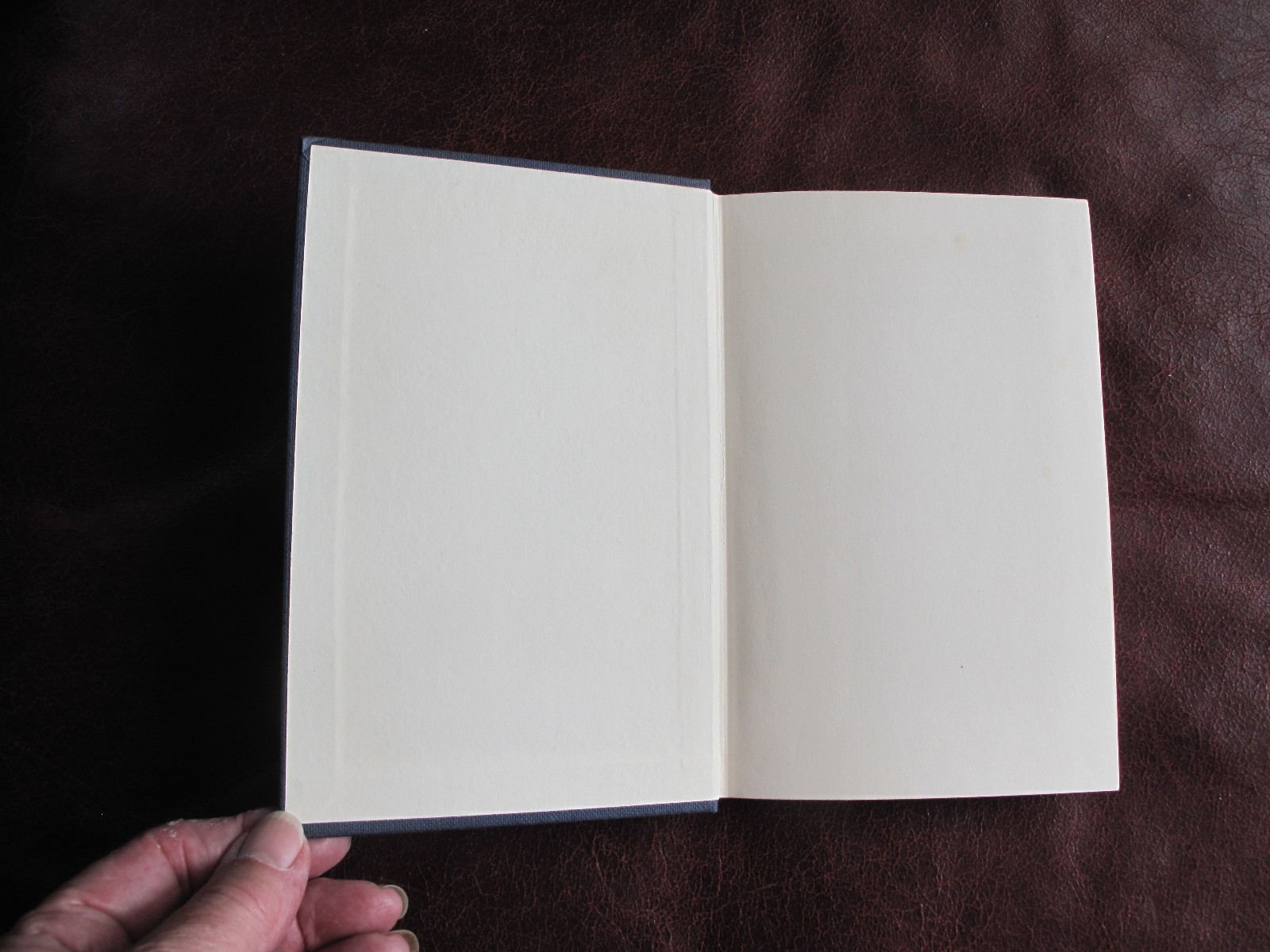 THE ACCOMPLICES – GEORGES SIMENON – 1ST UK EDITION 1966