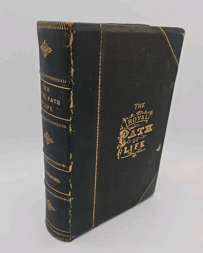 The Royal Path Of Life Hardcover 1878 T.L. Haines Illustrated Western Publishing