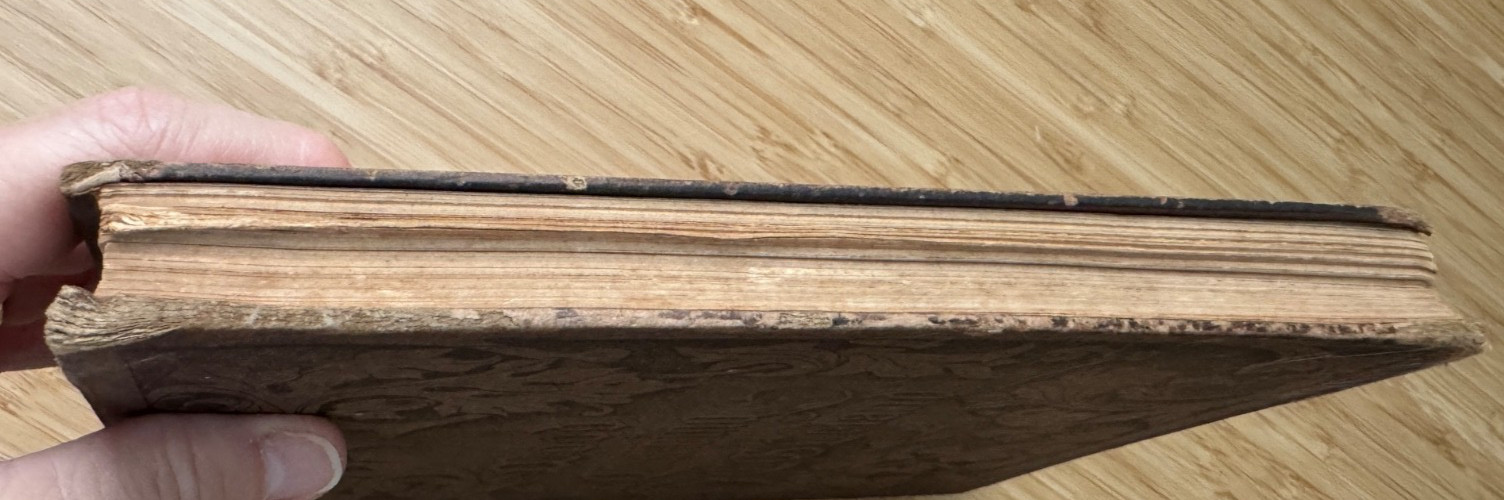 A Manual of Wood Carving Leland Holtzapffel 1891 1st Ed Sweep Cut Tools Patterns