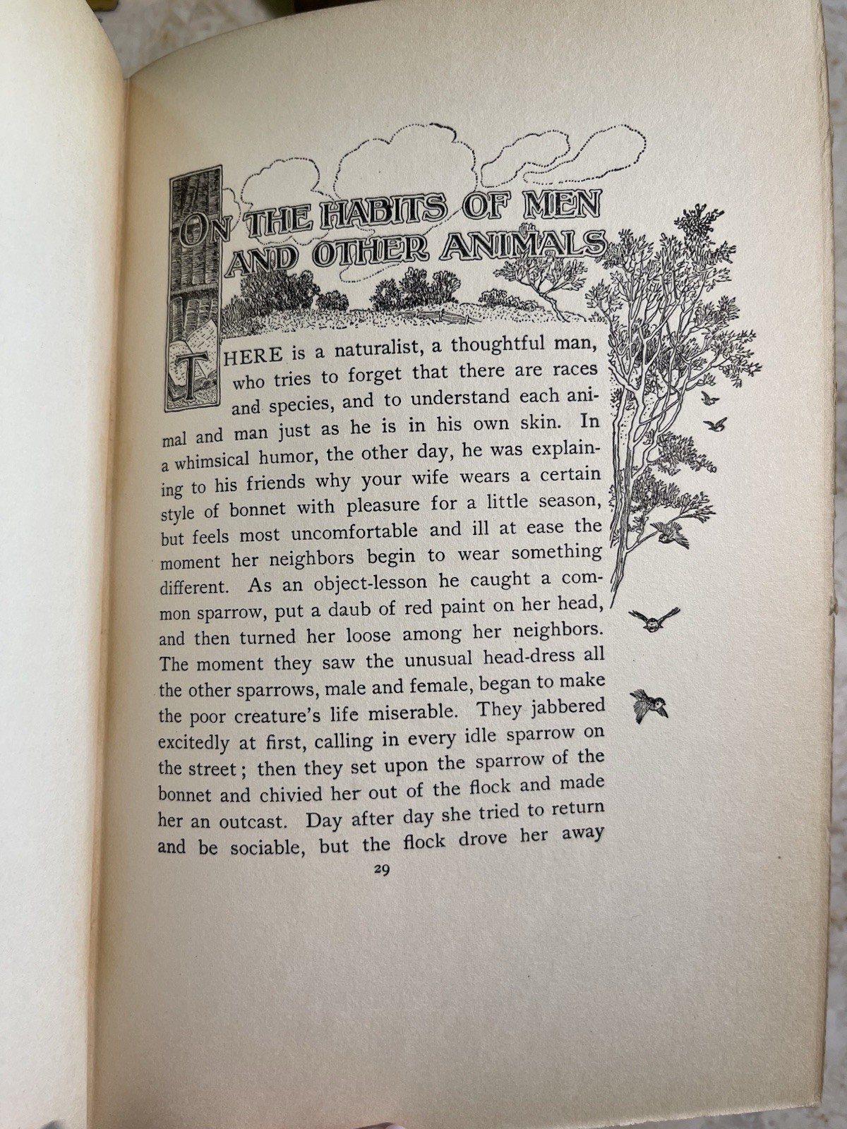 1906 Brier-Patch Philosophy Peter Rabbit William Long Illust. 1st Edition 296pg