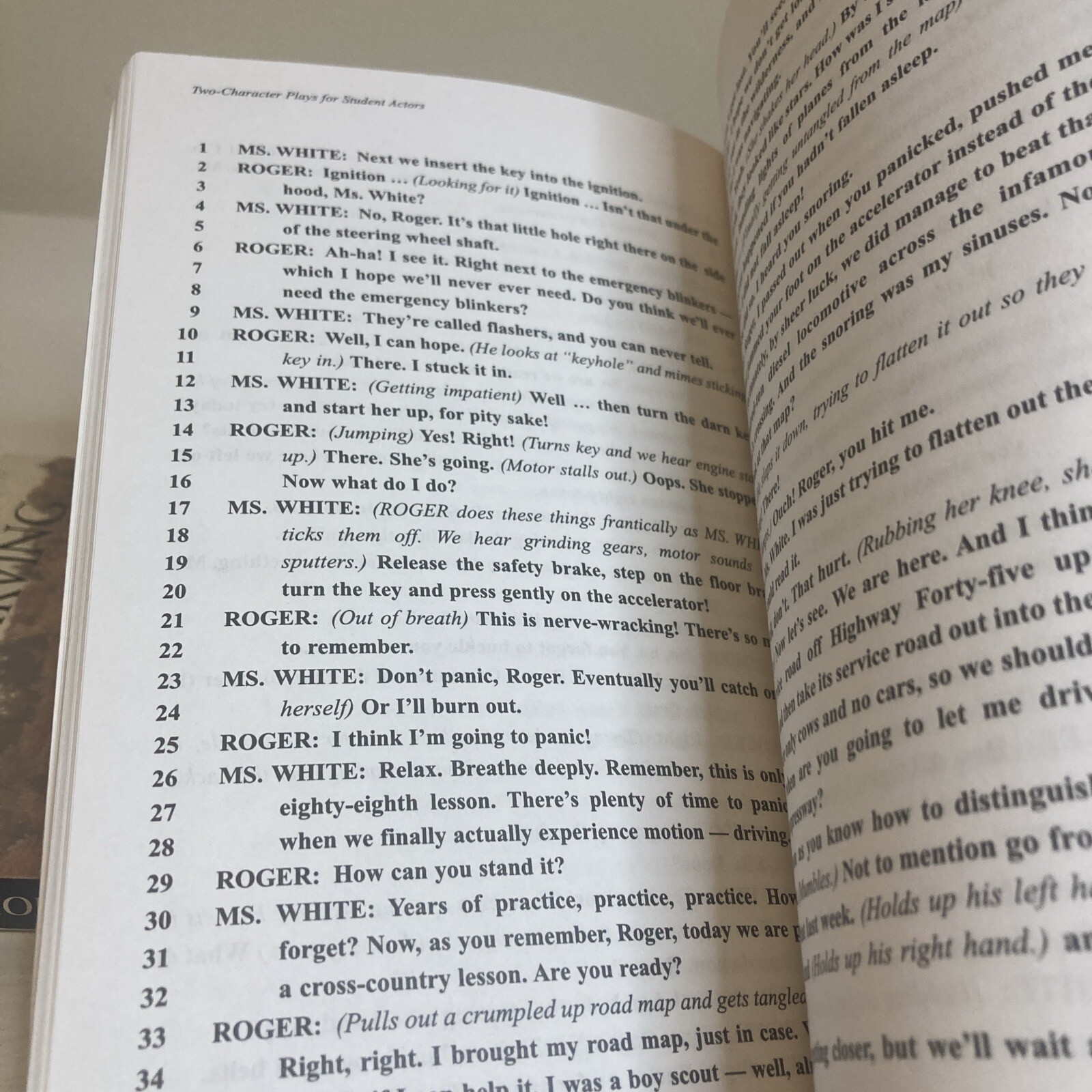 Lot Of 4 Paperback Plays: The Cider House Rules, Yasmina Reza ‘Art’, Two Charac