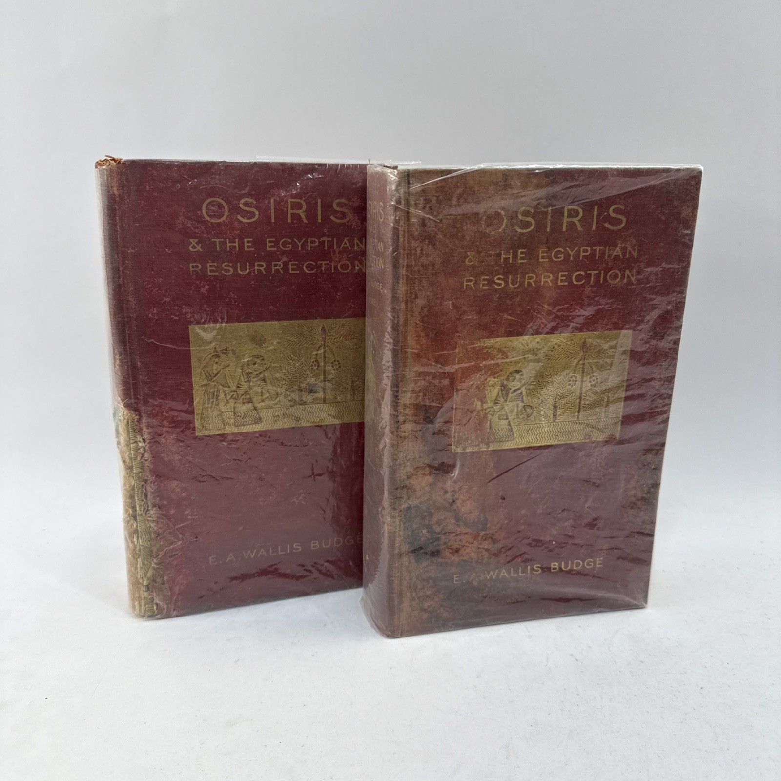 1911 Osiris Egyptian Resurrection E.A. Wallis Budge 2 Vol Occult Set w/ Fold Out