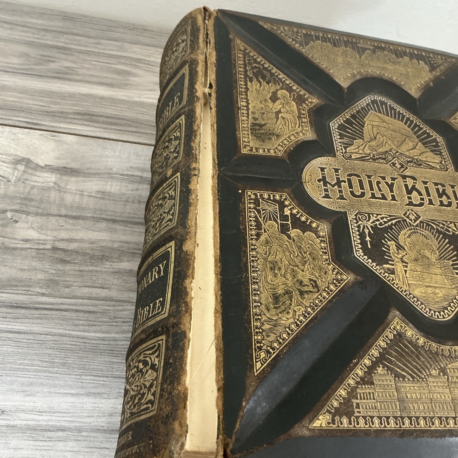 The Parallel Bible Old & New Testaments 2000 Illustrations 1885