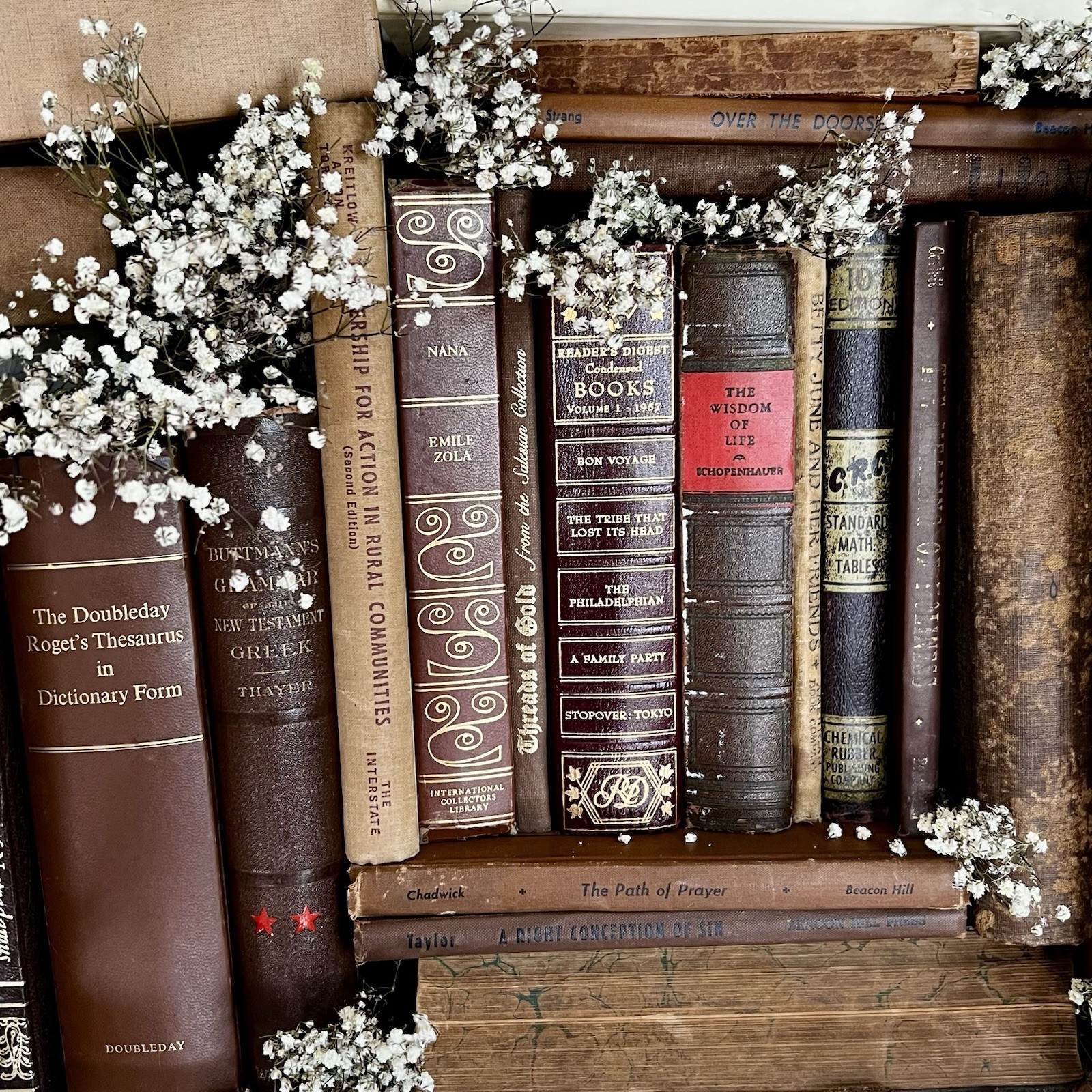 Vintage Book Lot | BROWN Colors | Library Bookshelf Decor | Old Library Staging