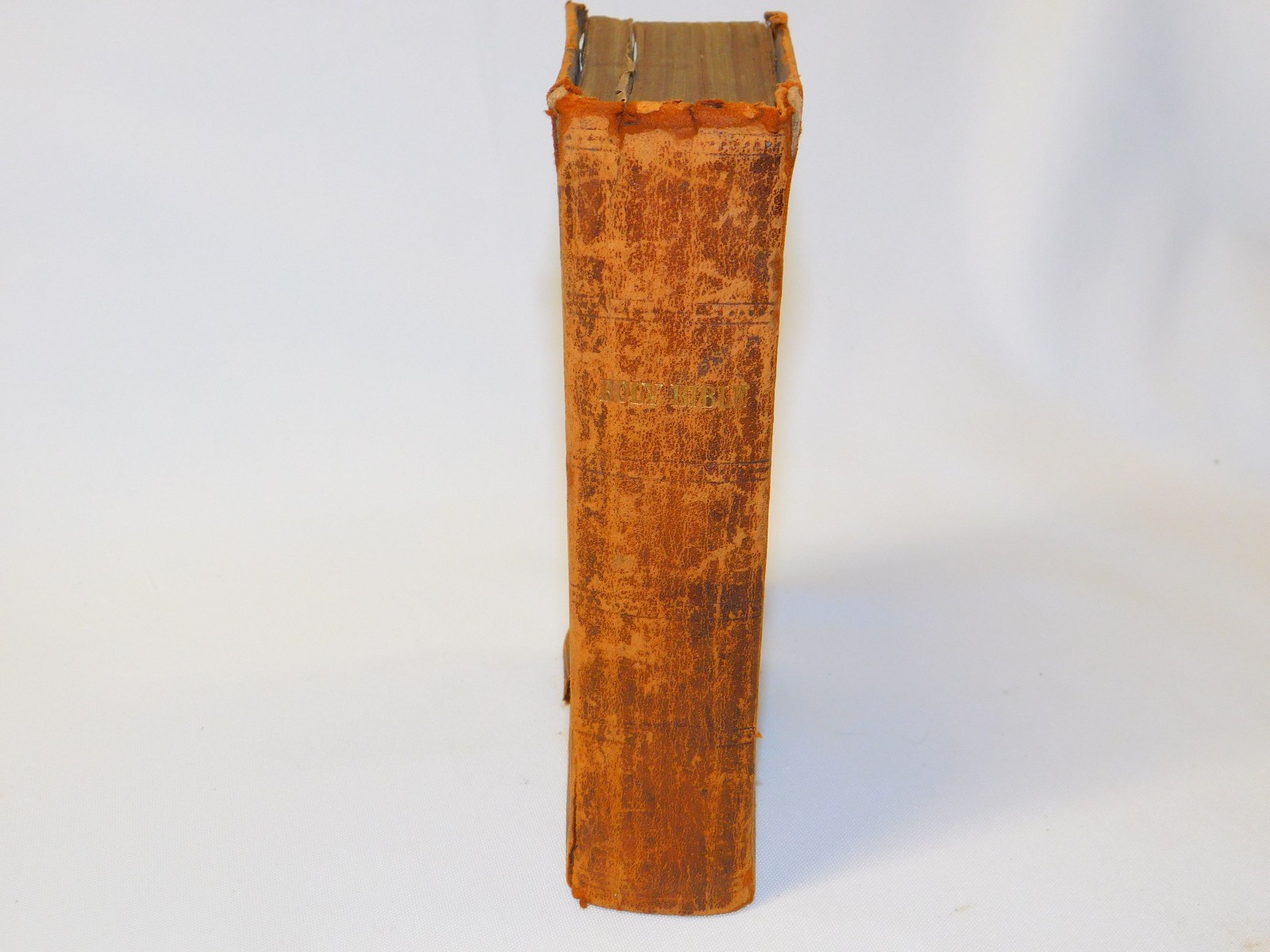 Antique 1866 Leather HOLY BIBLE Genealogy MATILDA FEESER STEWARD Family York PA