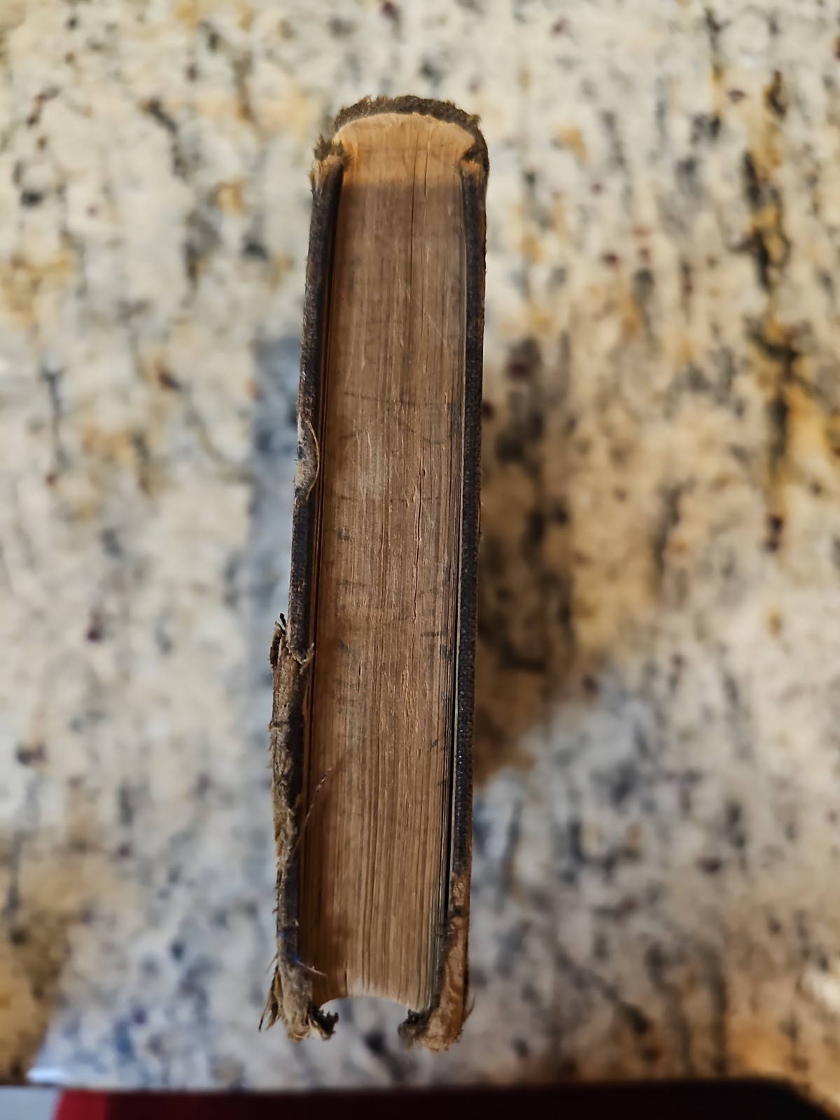 Webster’s Primary School Dictionary, 1892 HC, American Book Company, Illustrated