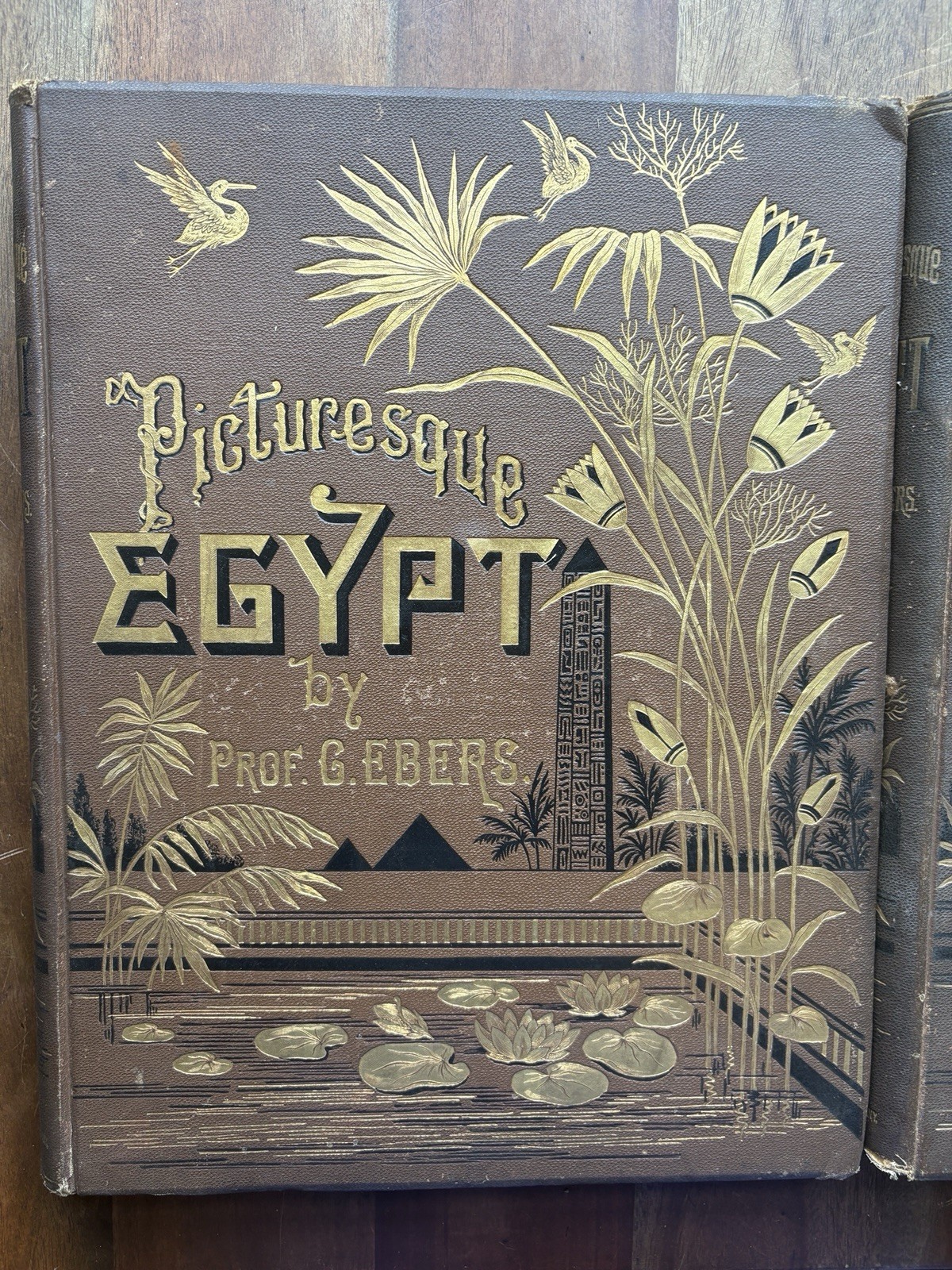 Picturesque Egypt Prof. Ebbers 1873 2 Vol vol 1 Descriptive & Historical hb