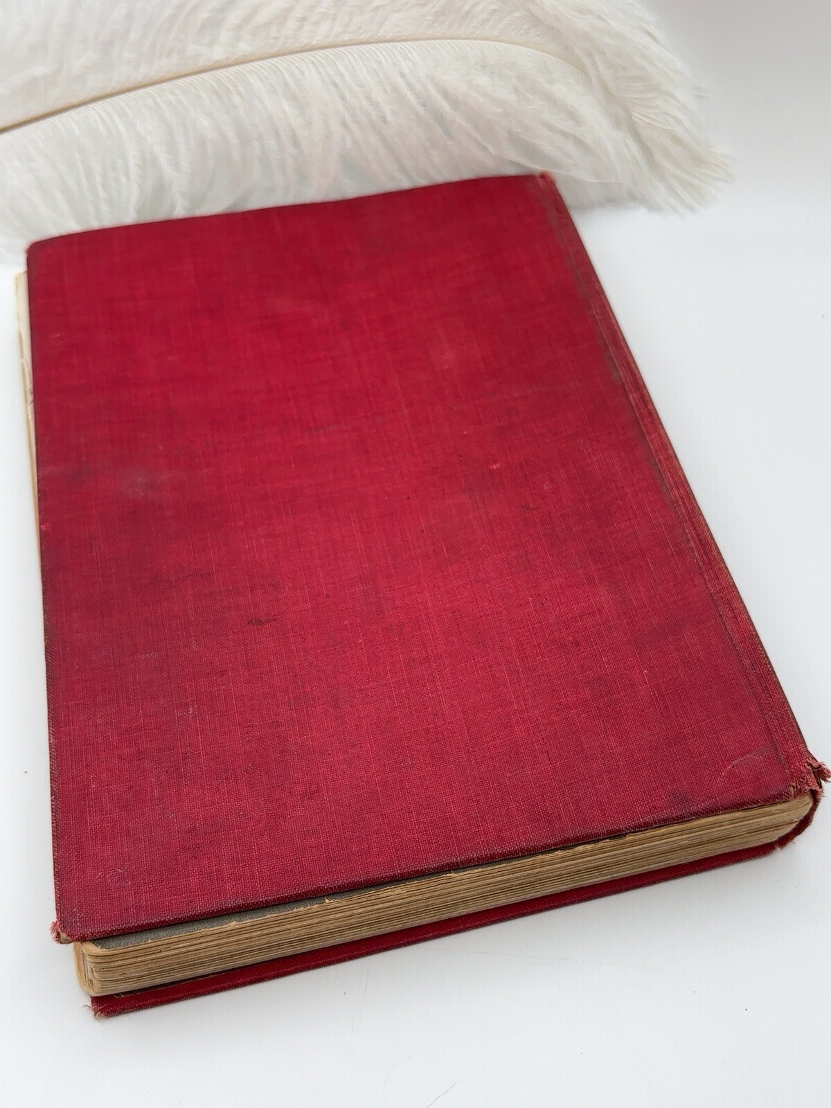 The Life and Adventures of Santa Claus L Frank Baum Mary Clark 1st Ed 1902 RARE